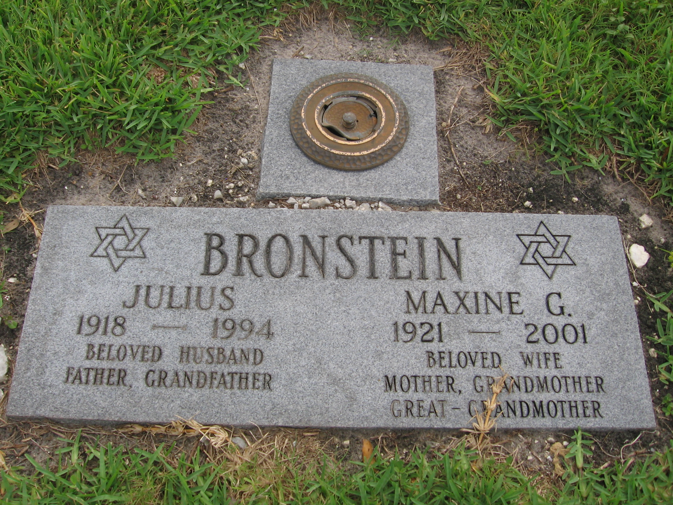 Julius Bronstein