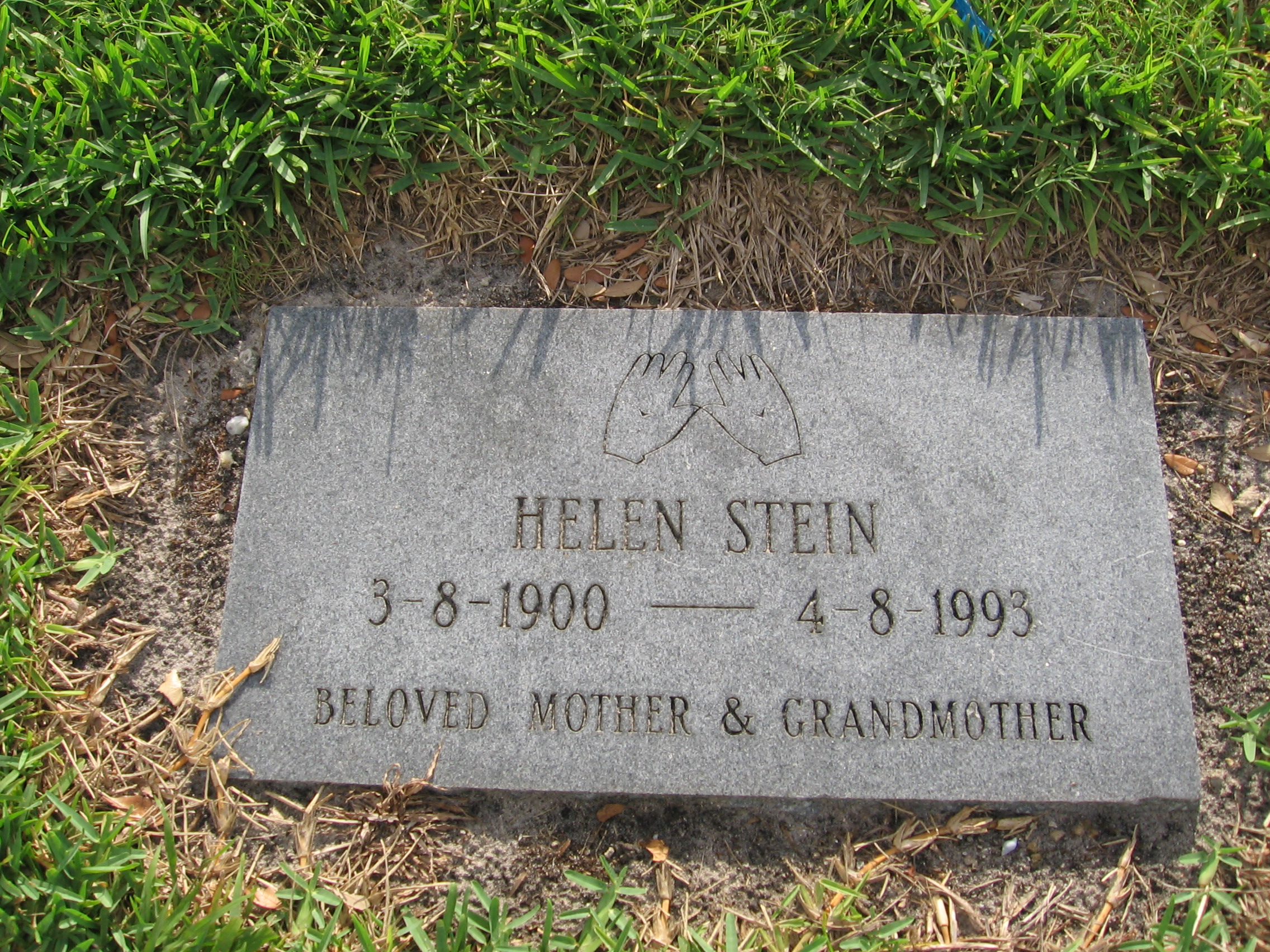 Helen Stein