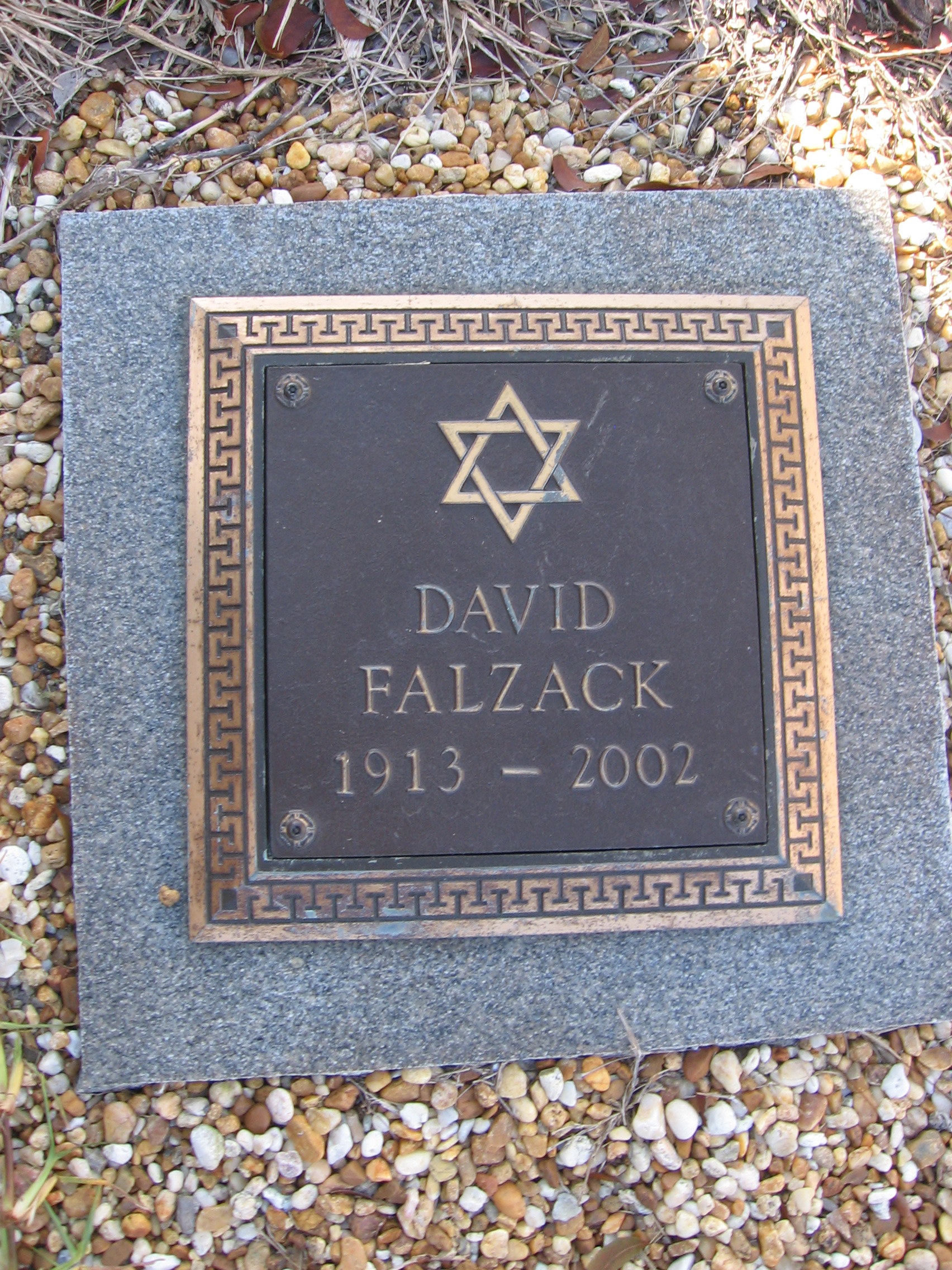 David Falzack