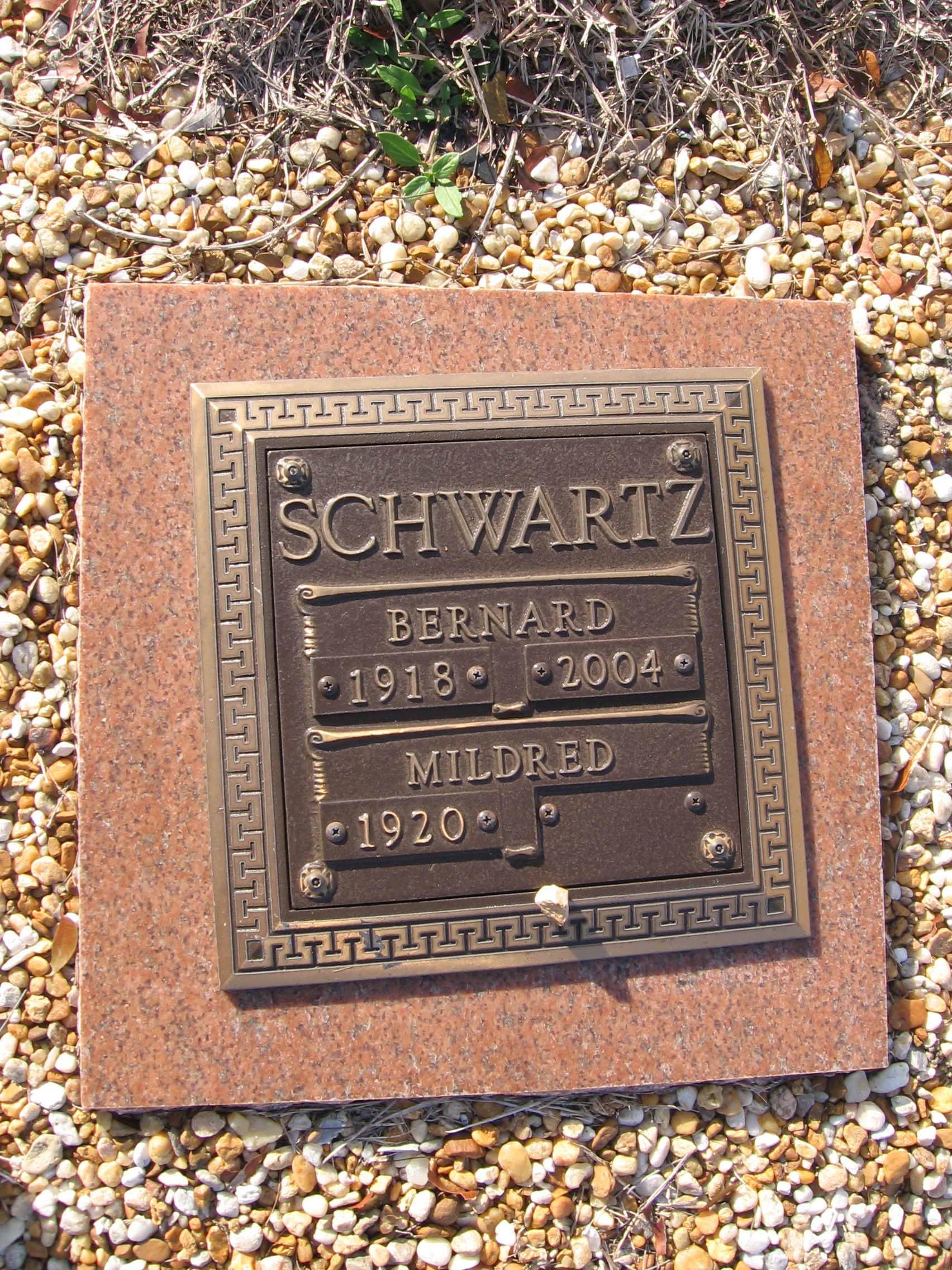 Bernard Schwartz