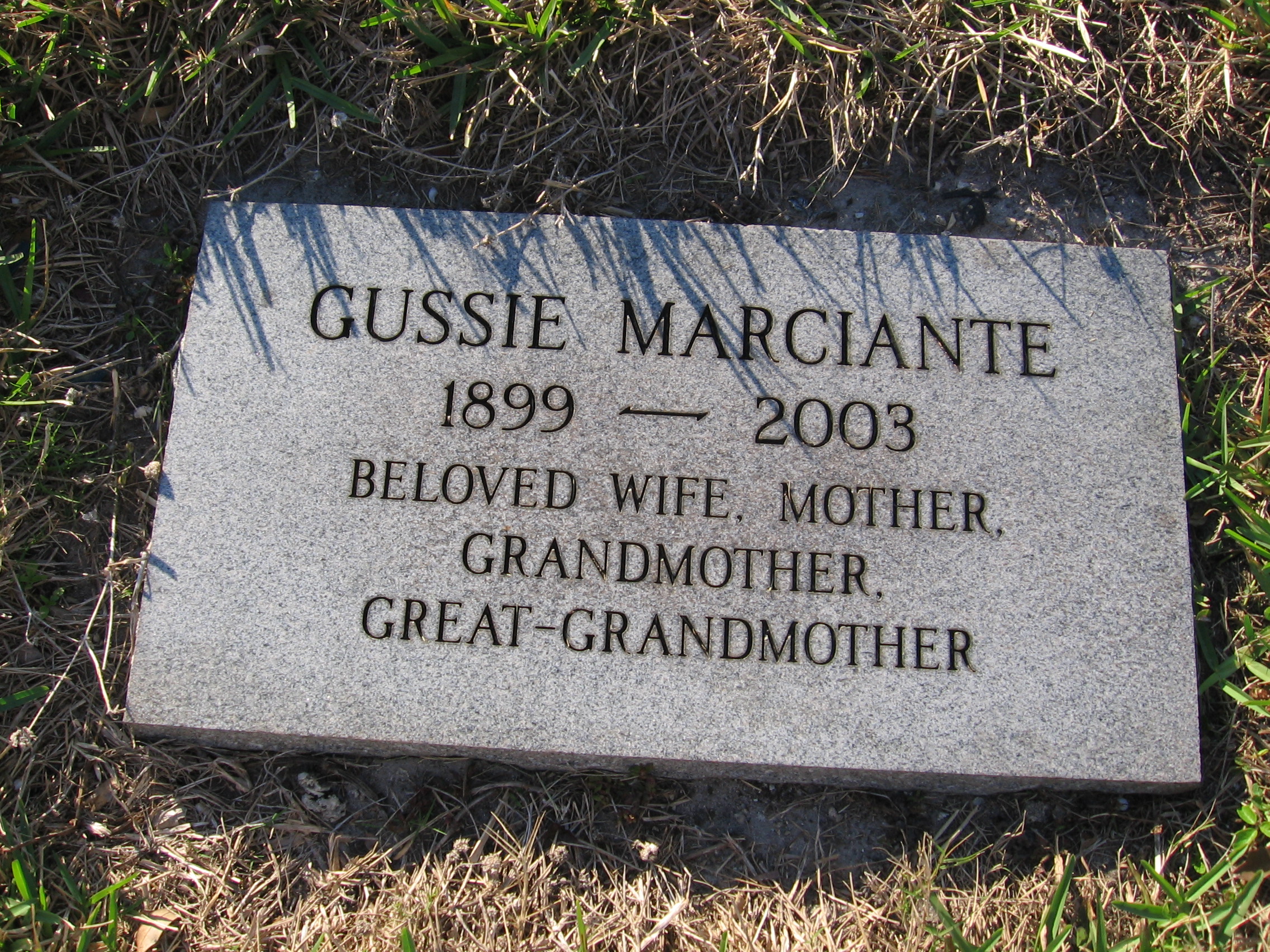 Gussie Marciante