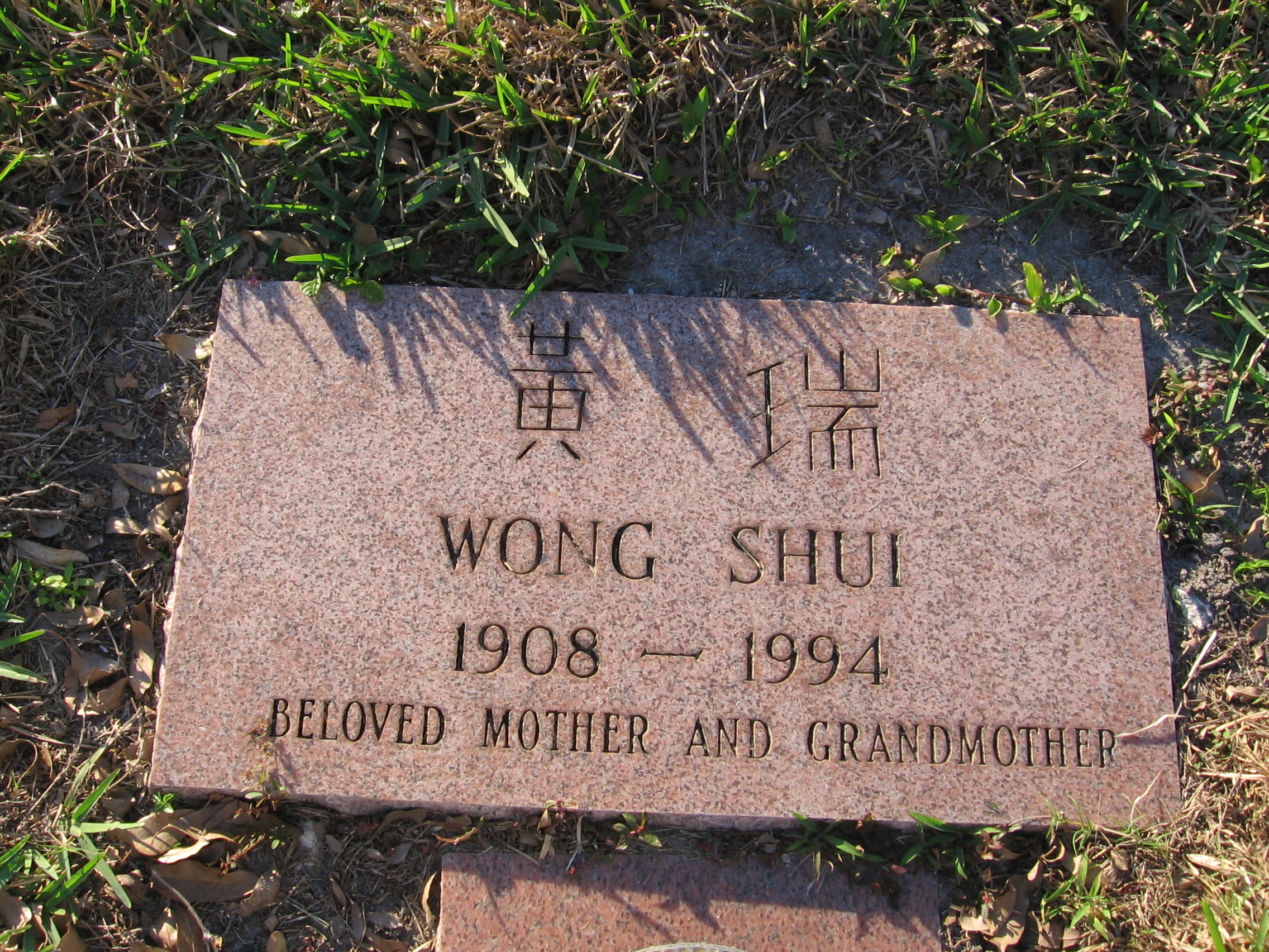 Wong Shui