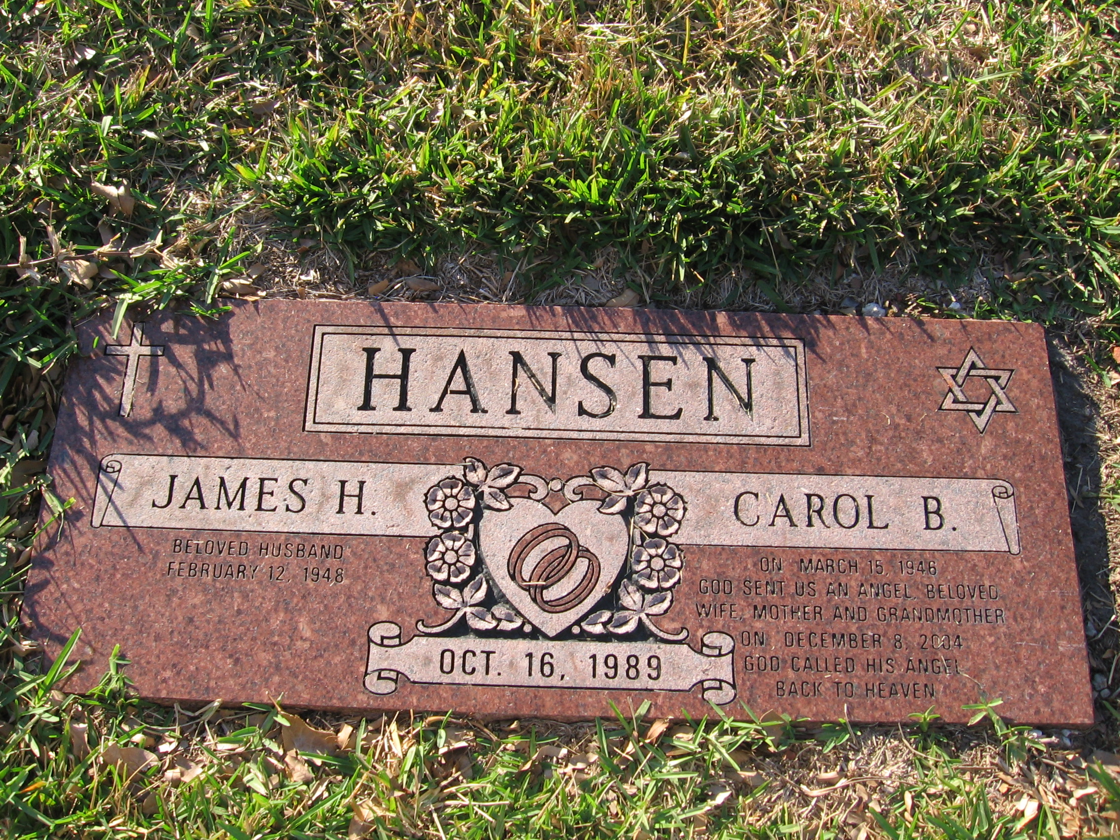 James H Hansen