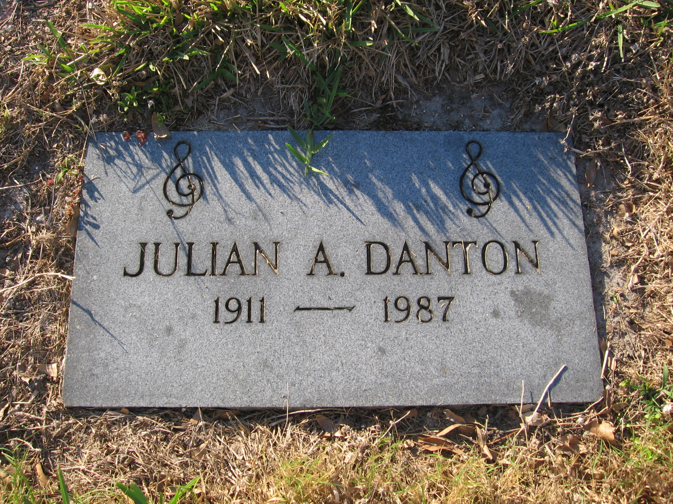 Julian A Danton