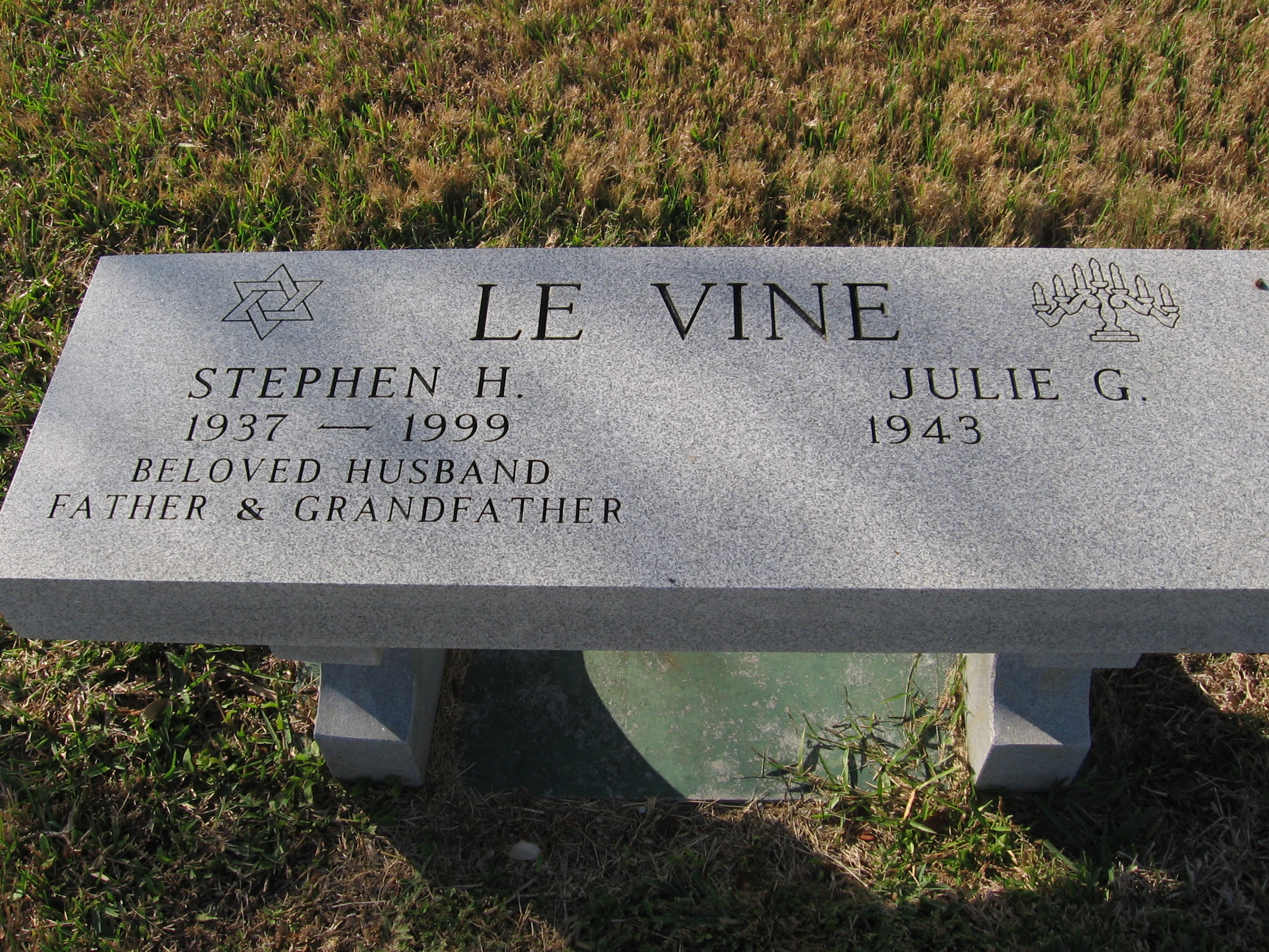 Stephen H Le Vine