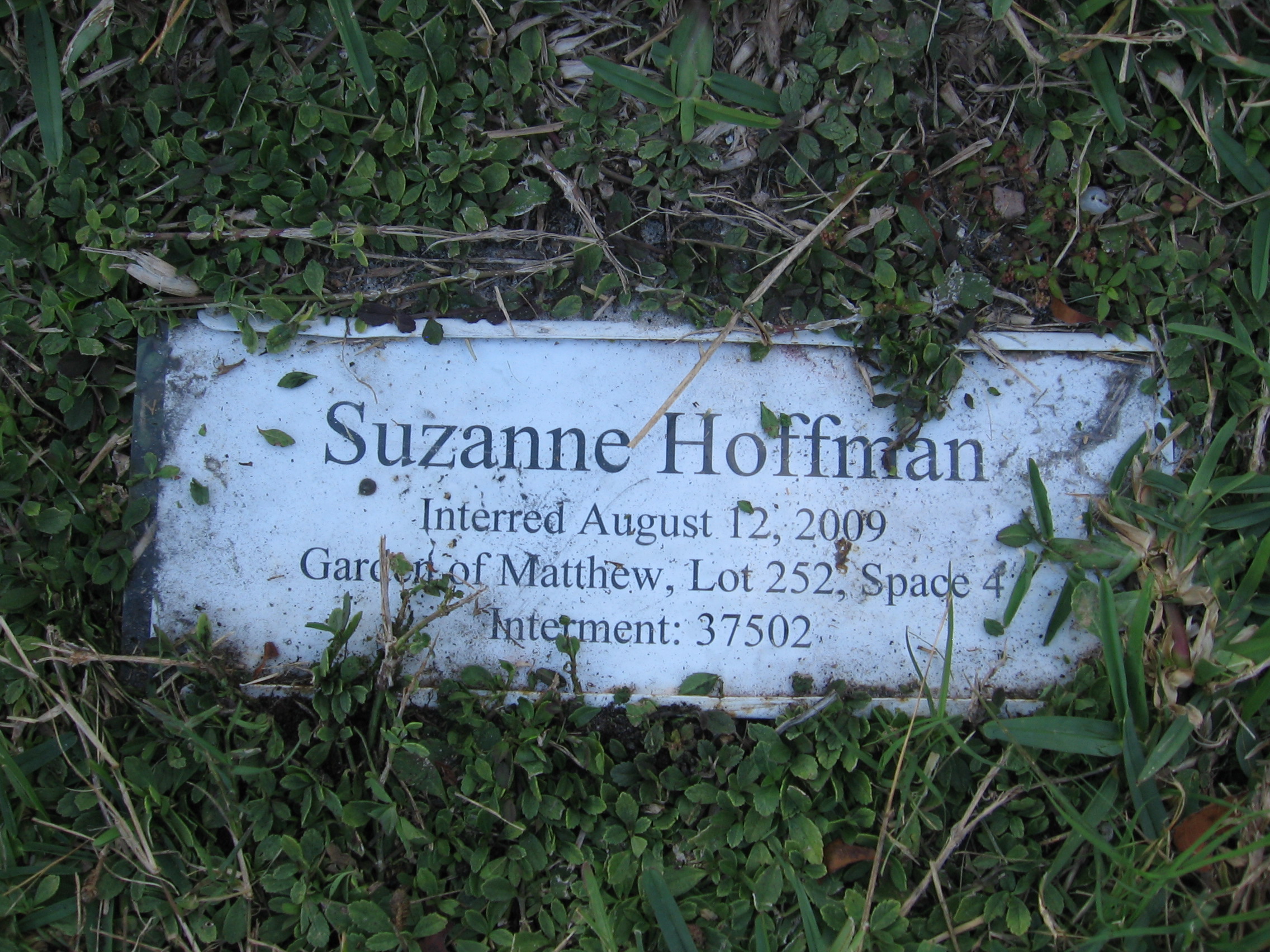 Suzanne Hoffman