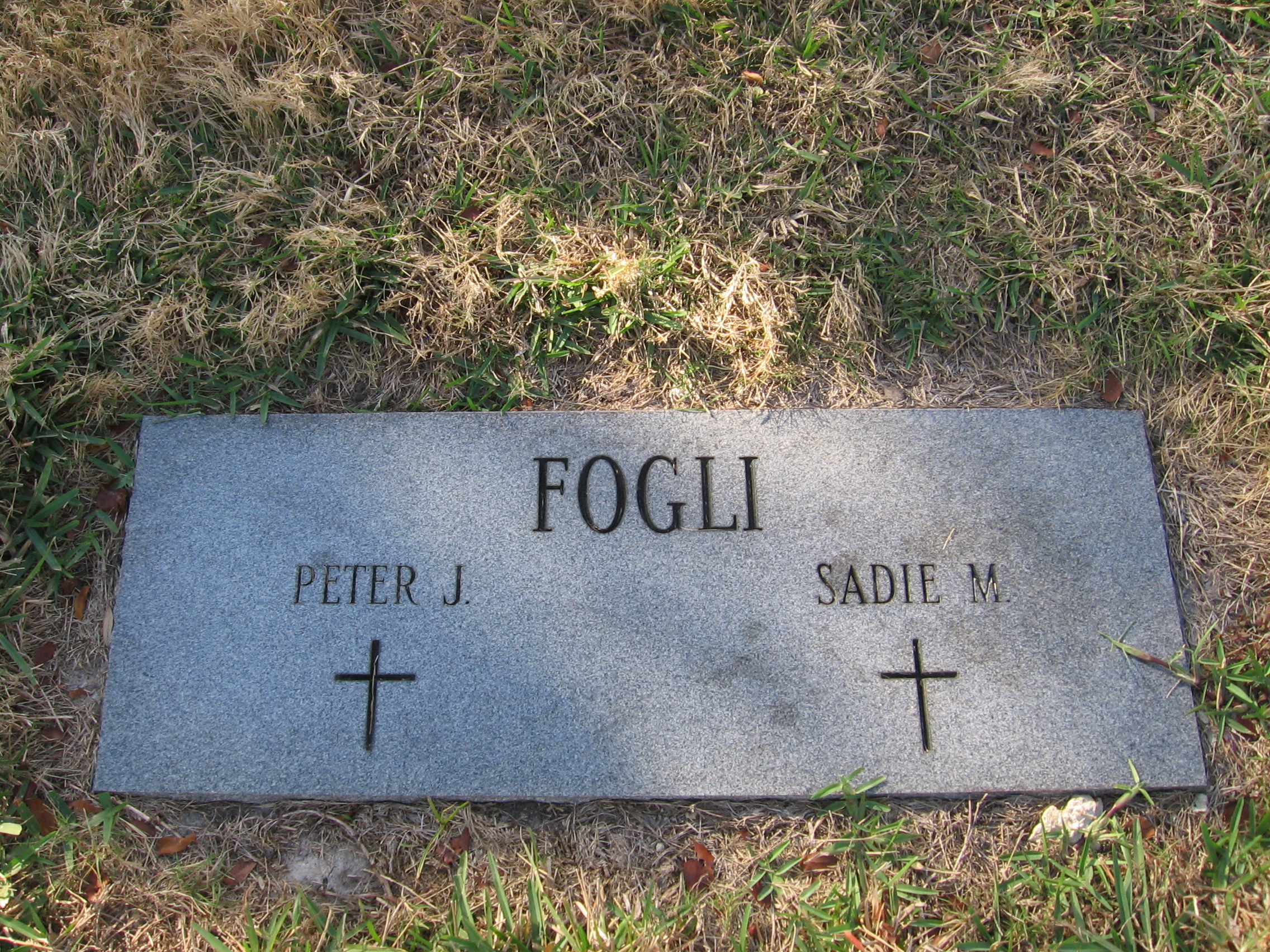 Peter J Fogli