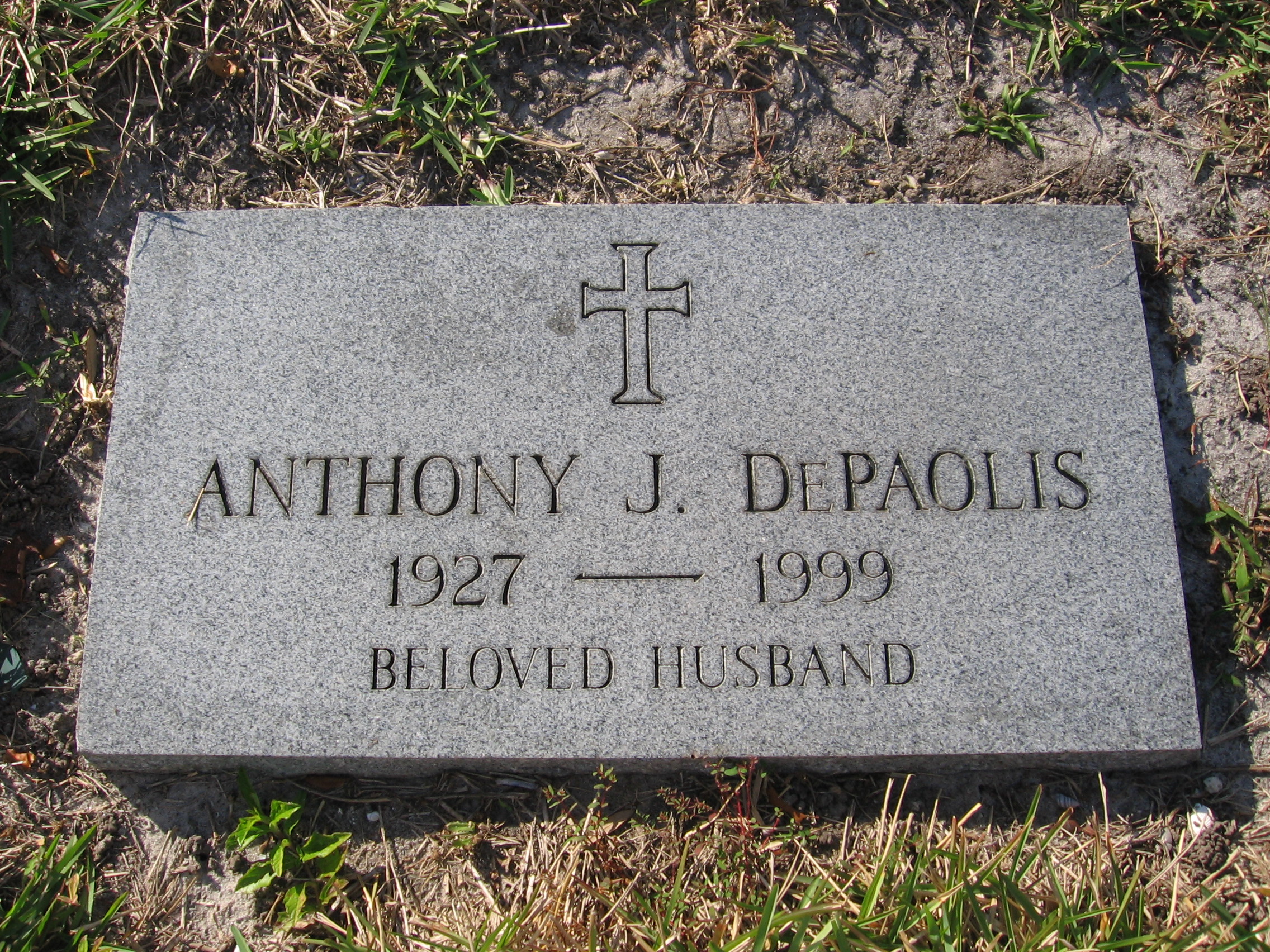 Anthony J DePaolis