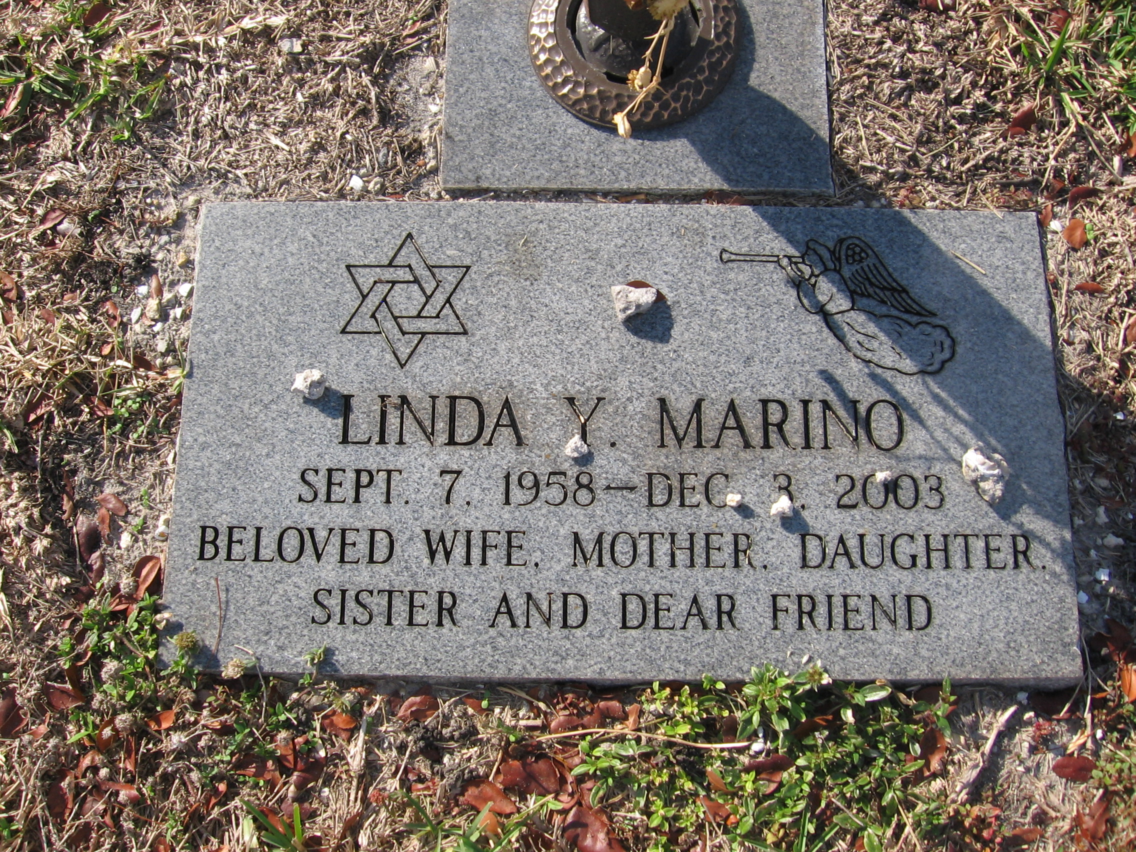 Linda Y Marino
