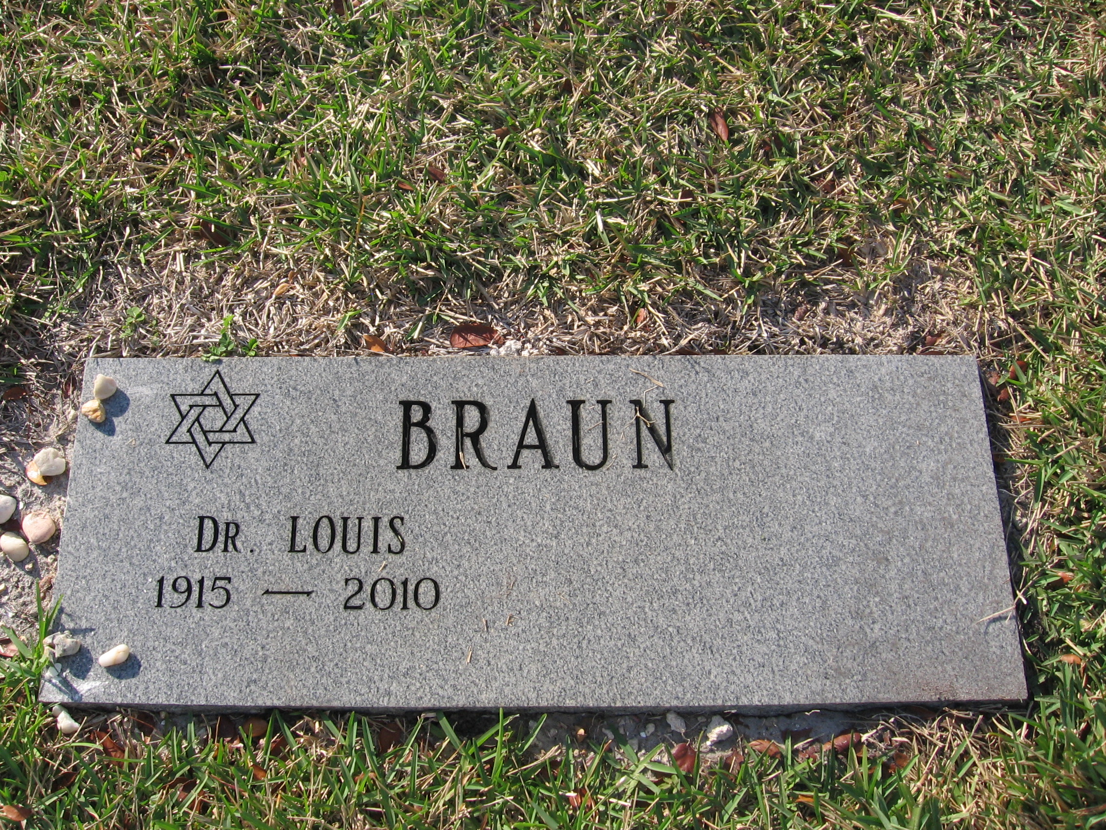 Dr Louis Braun