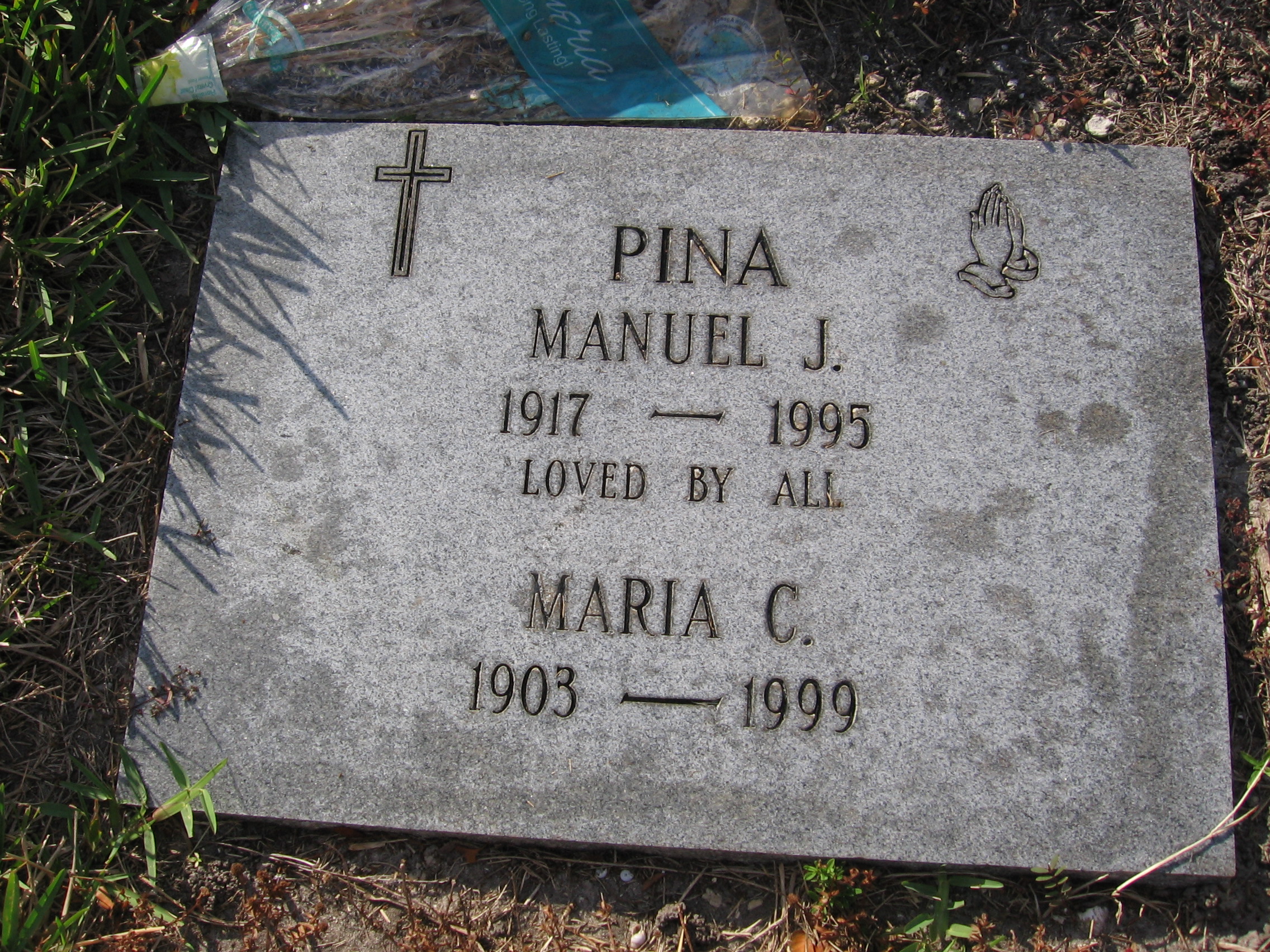Manuel J Pina