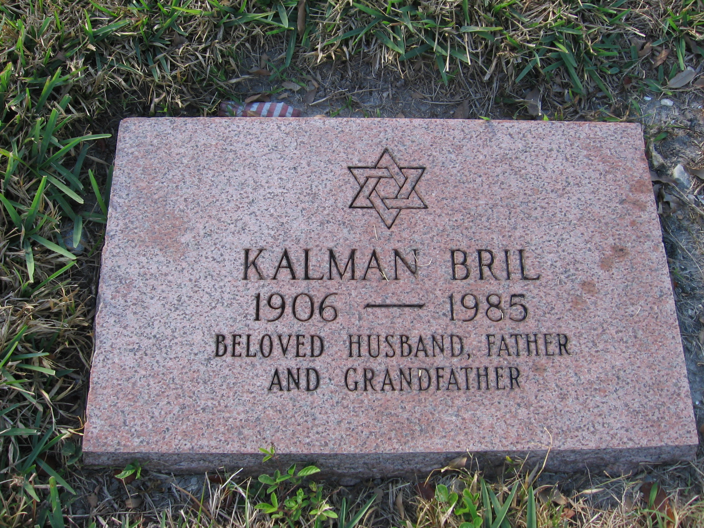 Kalman Bril