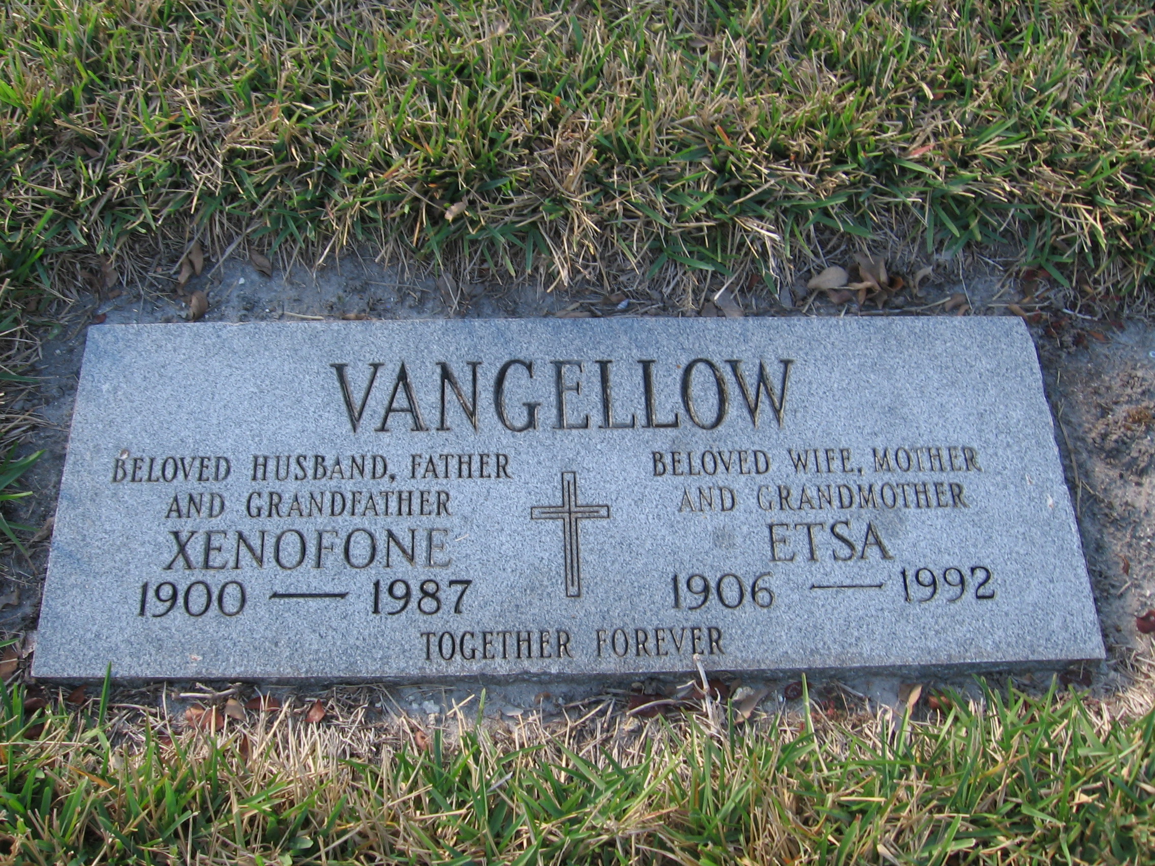 Xenofone Vangellow