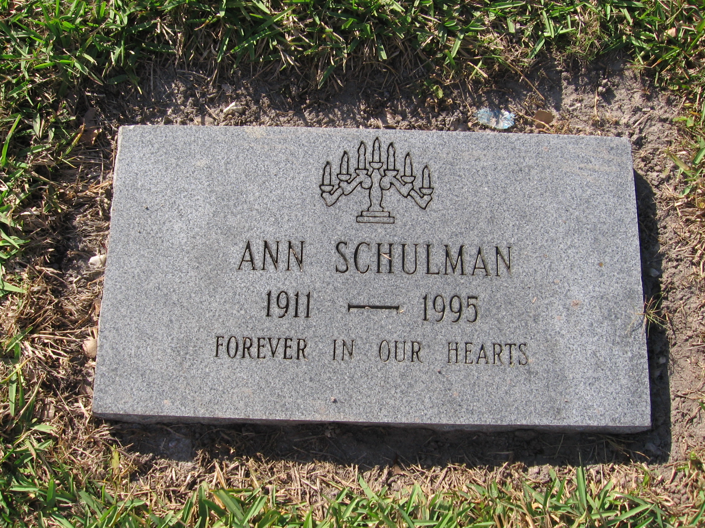 Ann Schulman