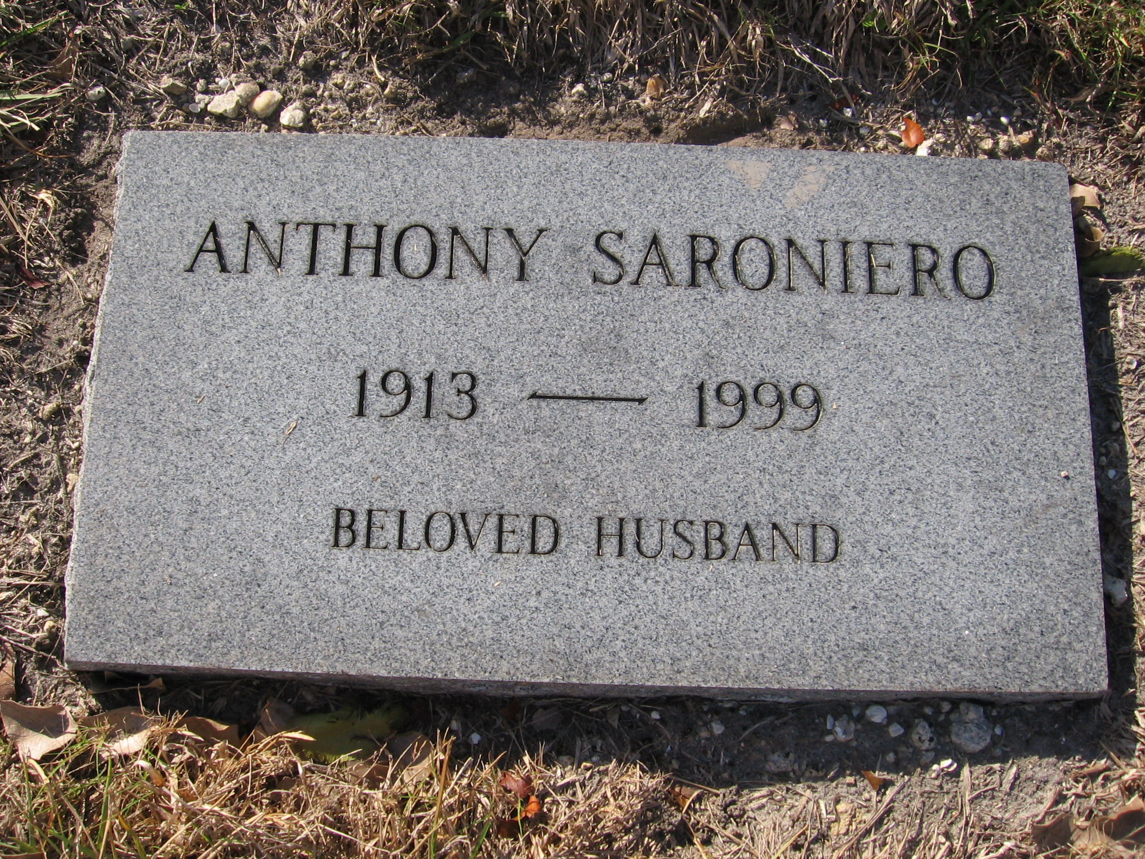 Anthony Saroniero