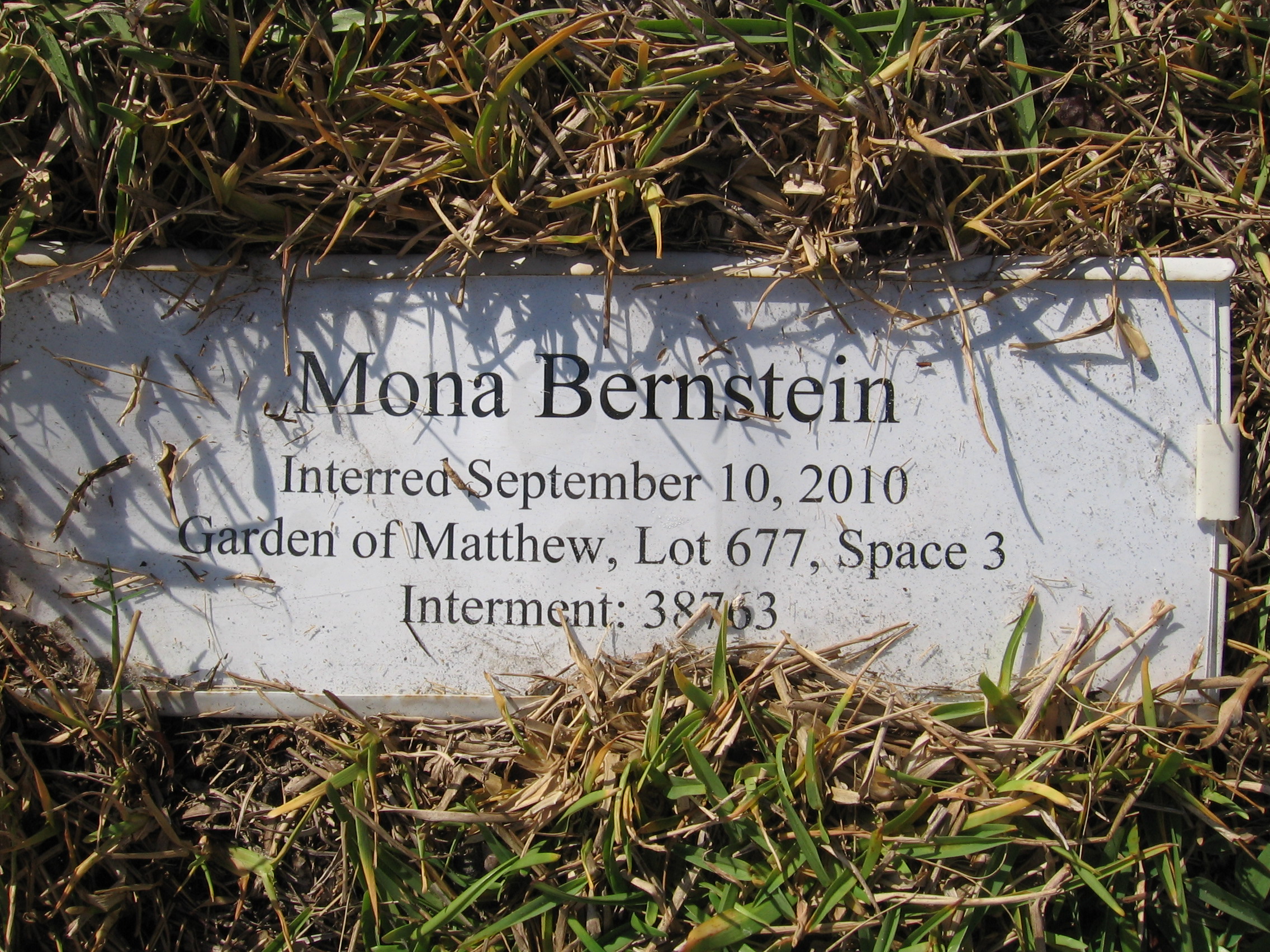 Mona Bernstein
