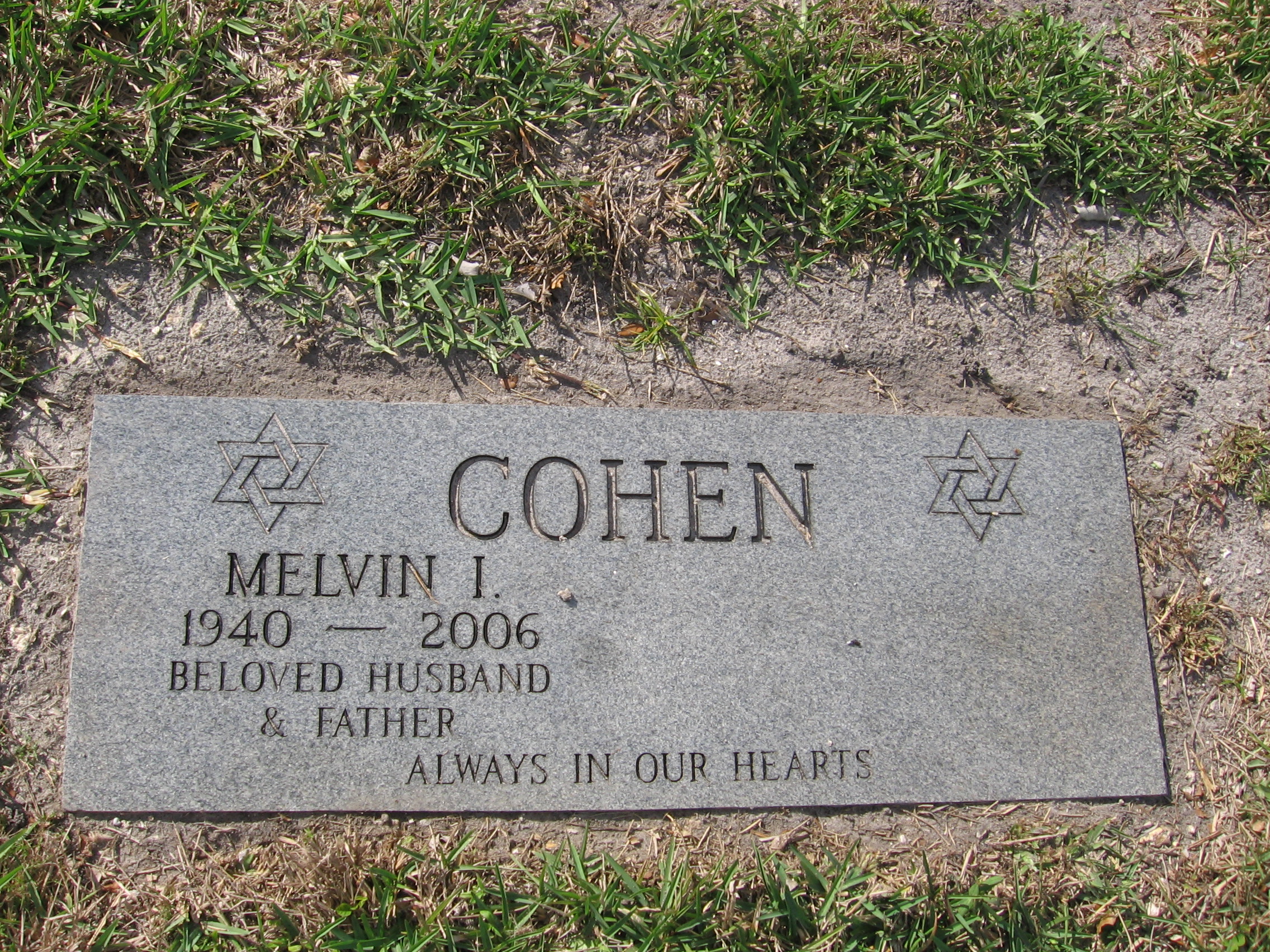 Melvin I Cohen