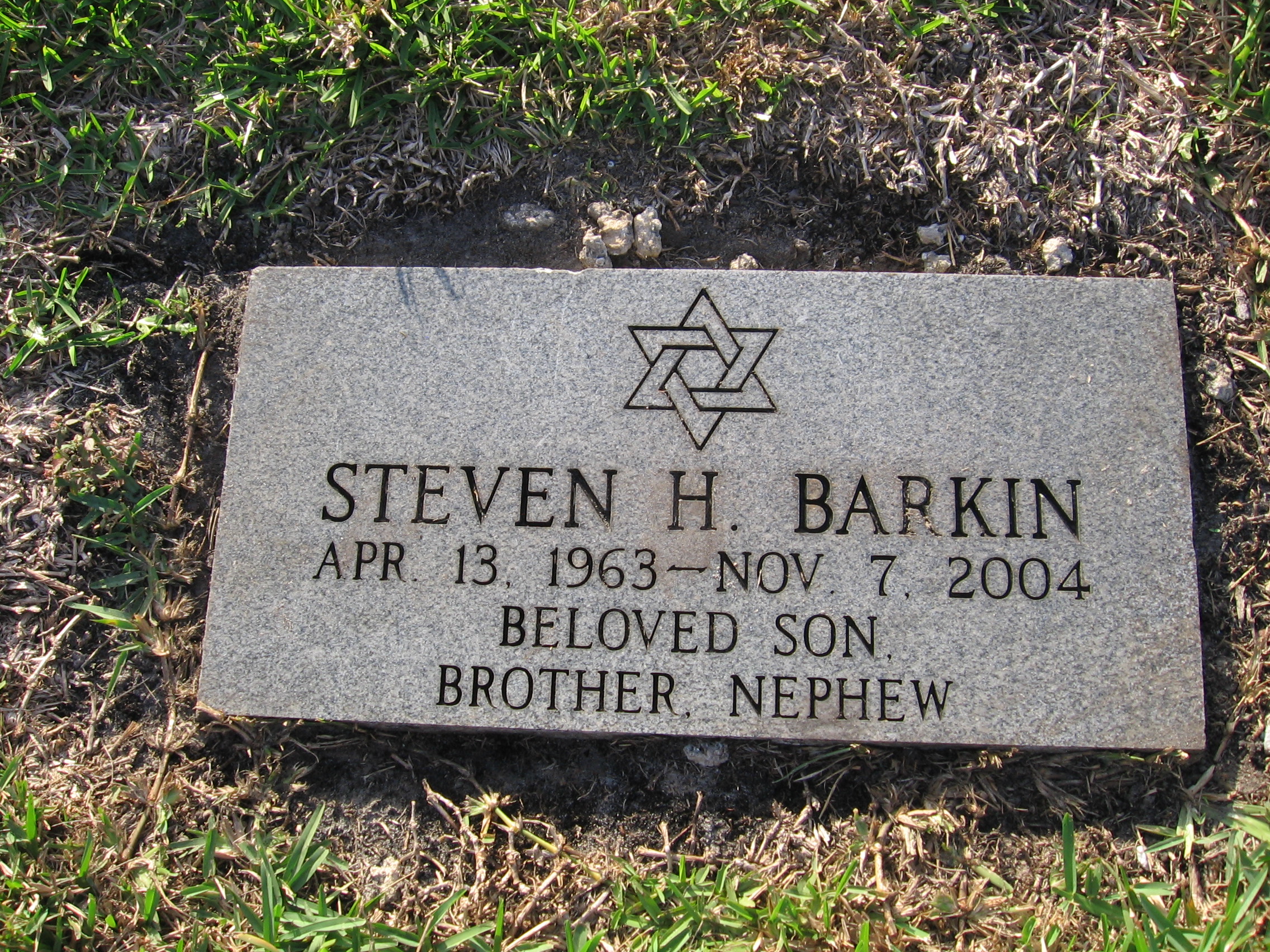 Steven H Barkin