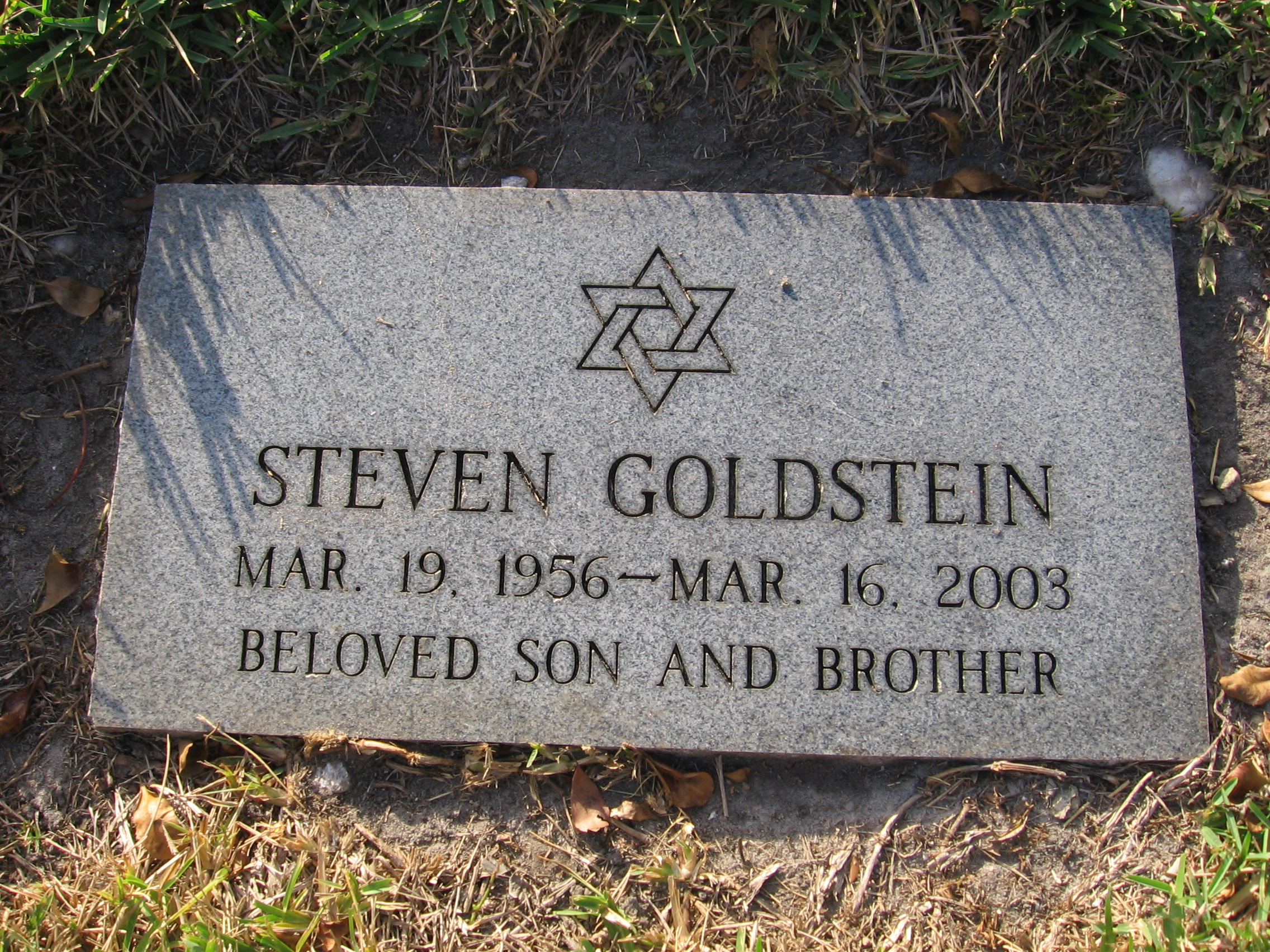 Steven Goldstein