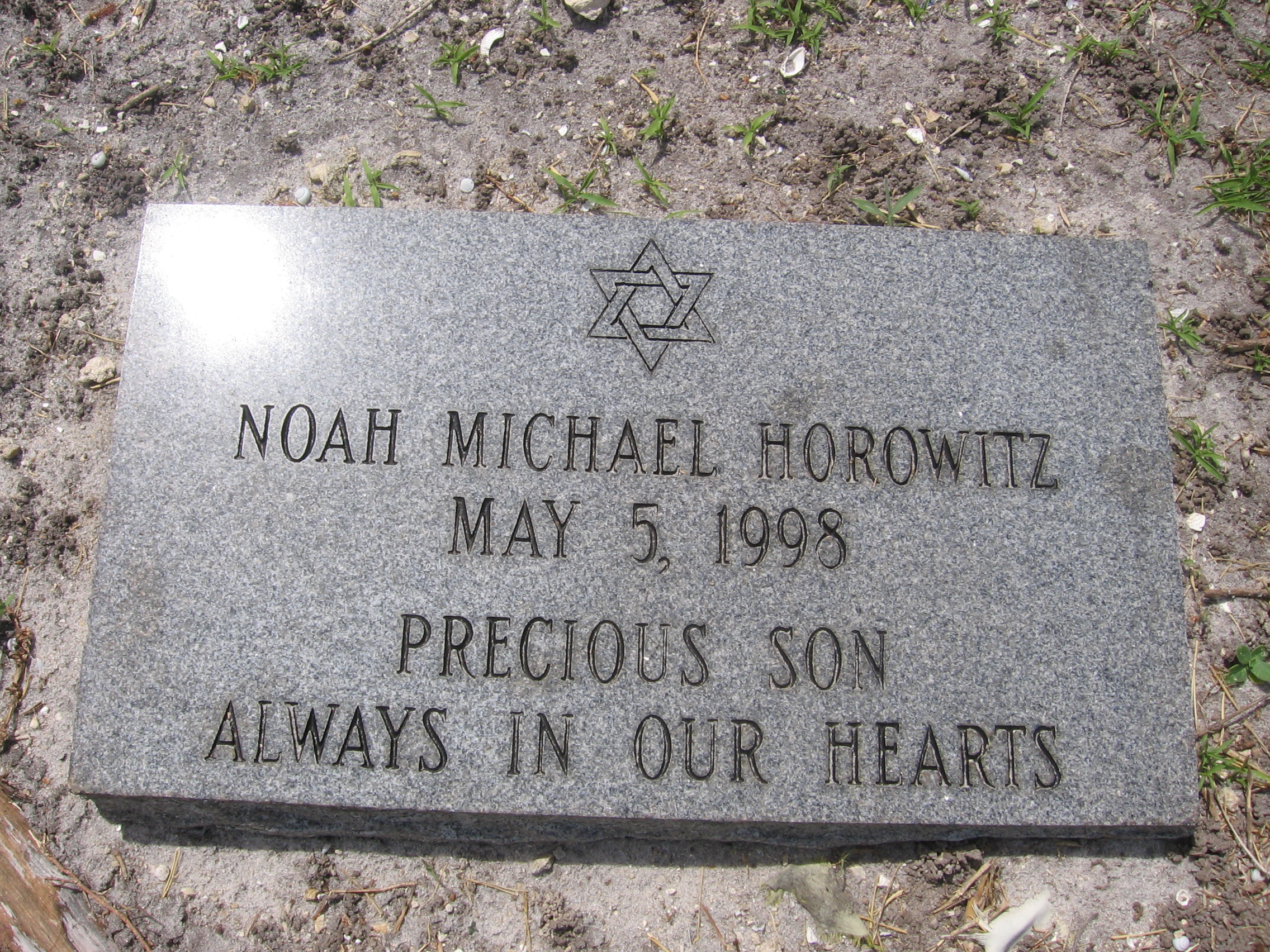 Noah Michael Horowitz