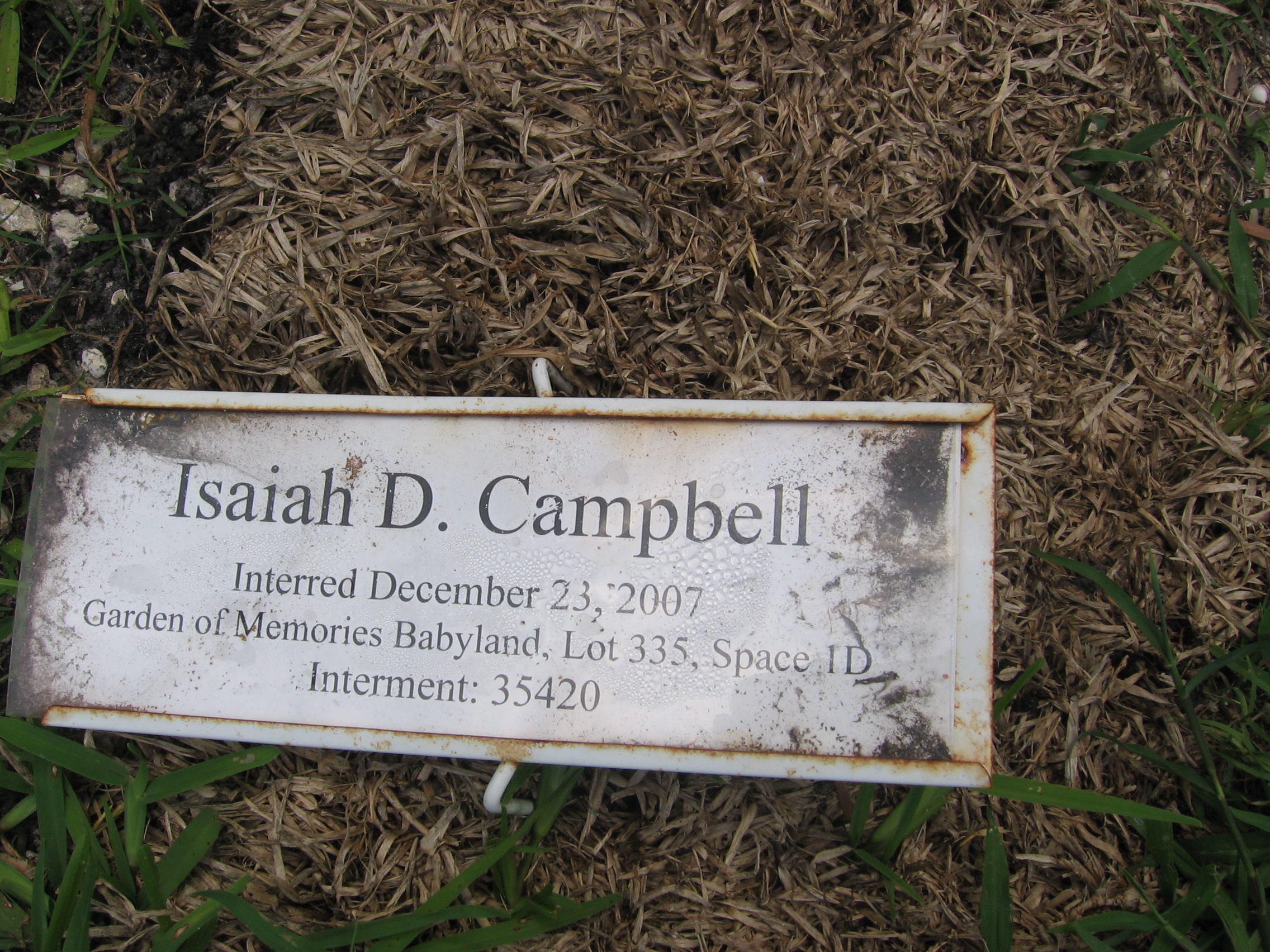 Isaiah D Campbell