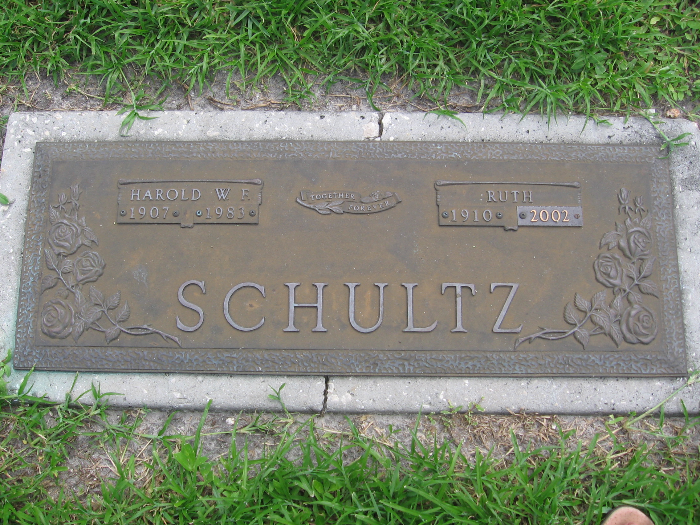 Harold W F Schultz