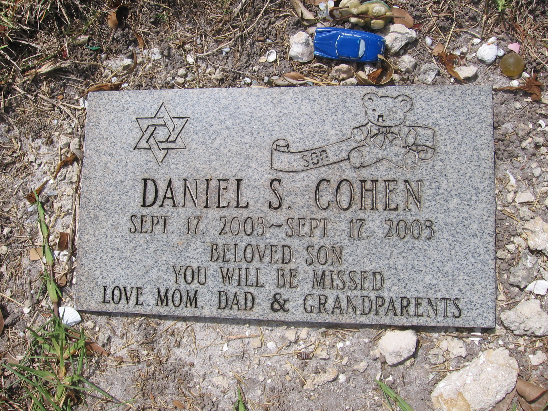 Daniel S Cohen