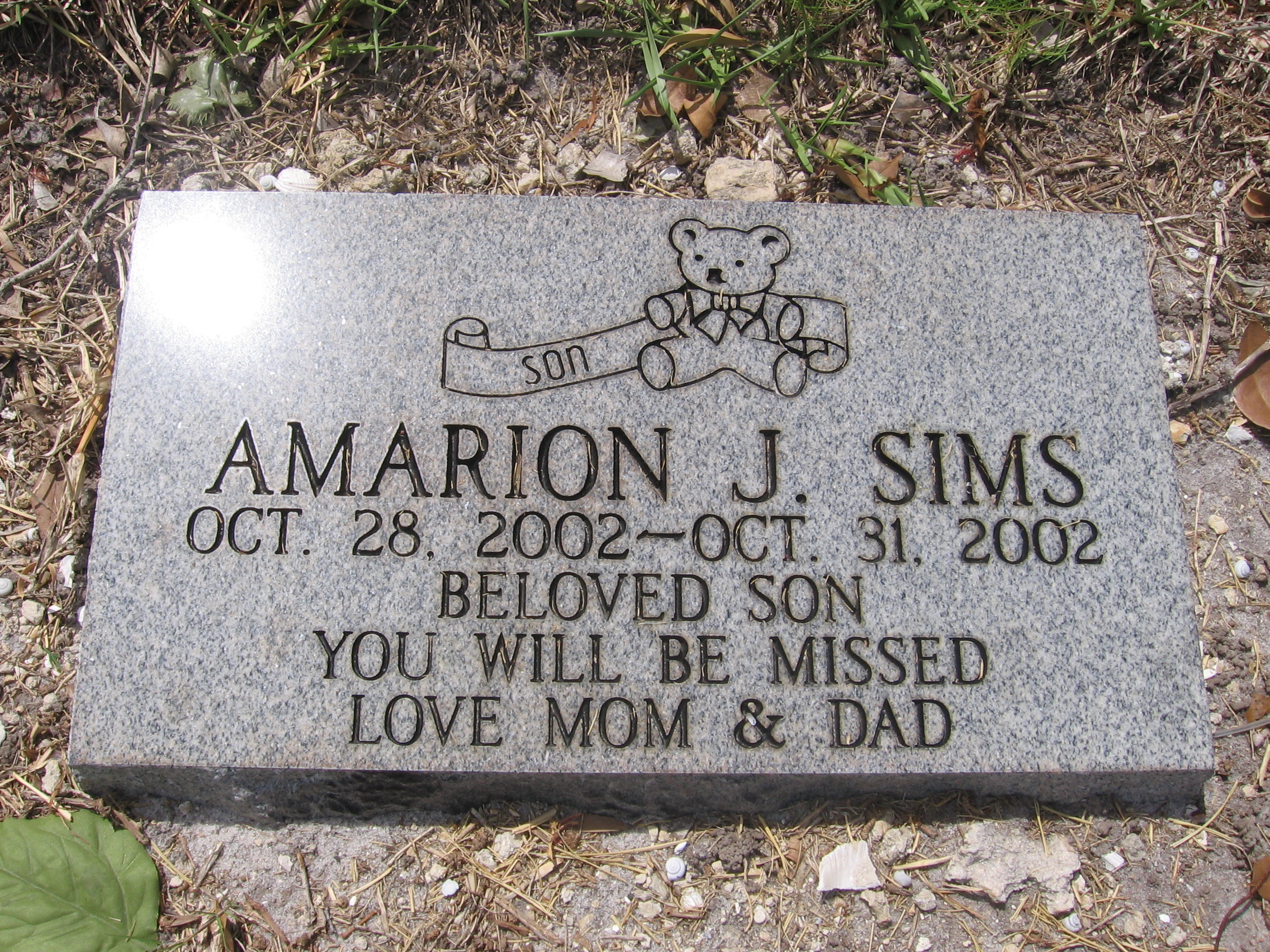Amarion J Sims