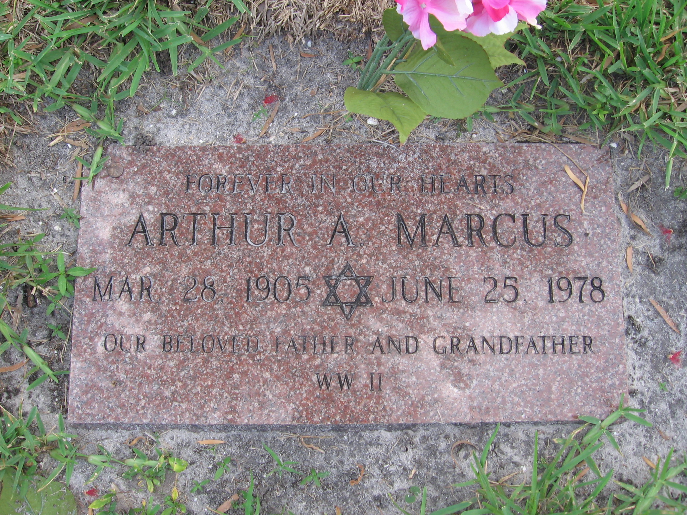 Arthur A Marcus