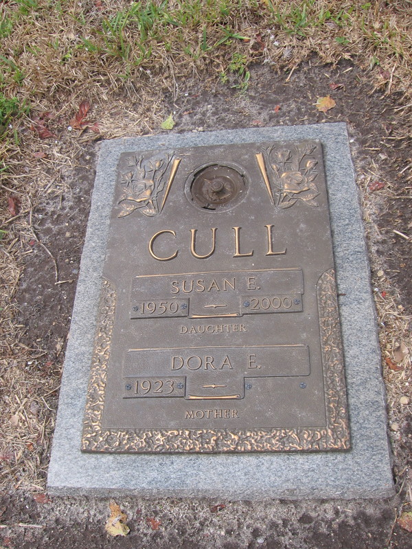 Susan E Cull