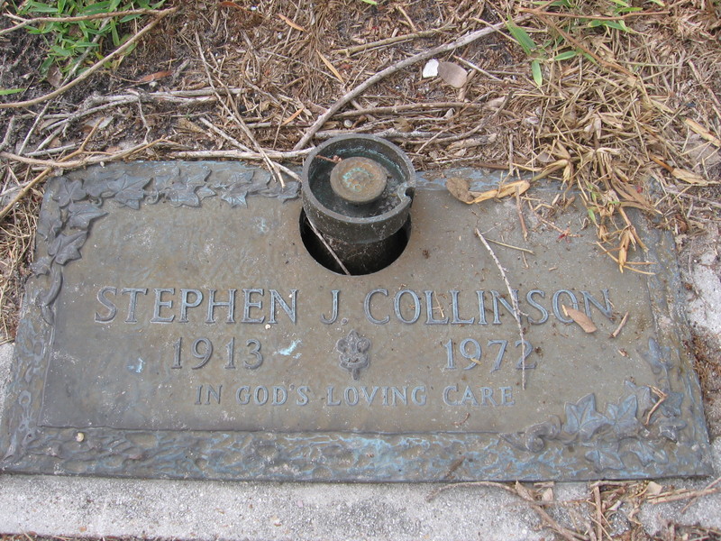 Stephen J Collinson