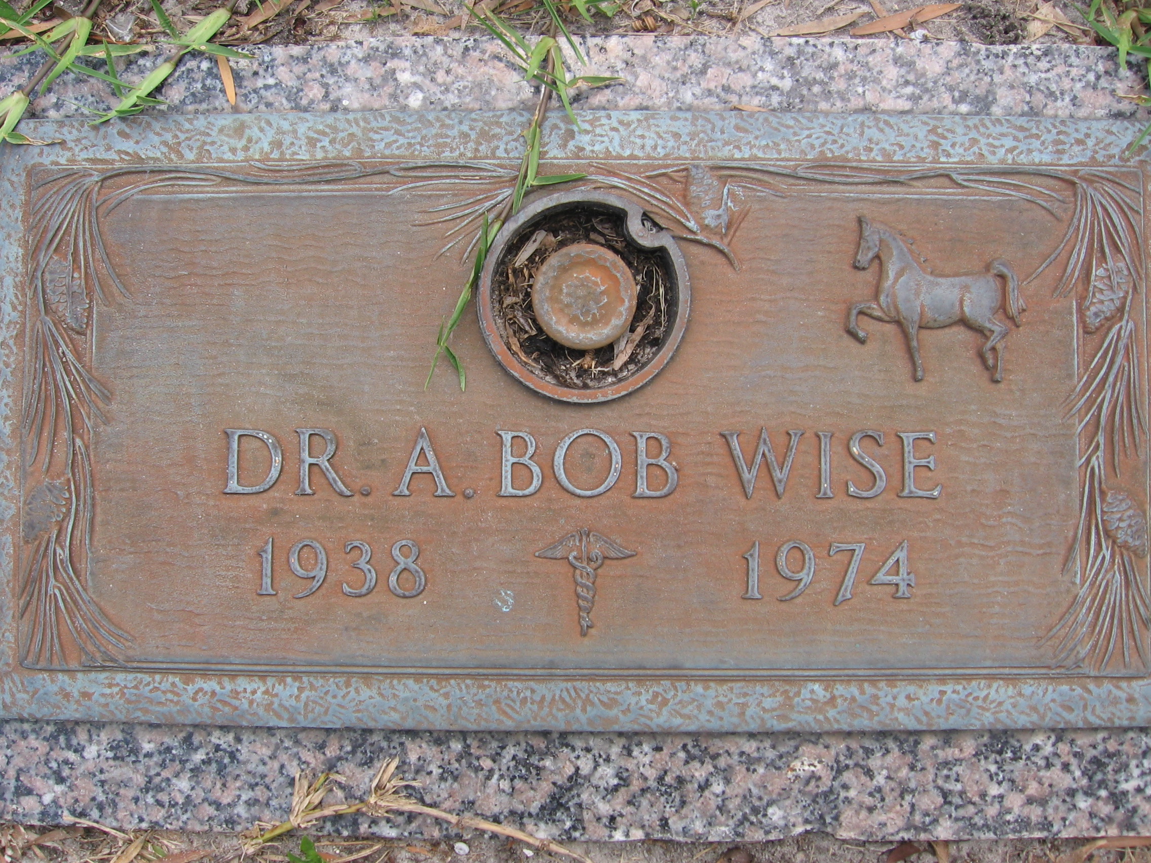Dr A Bob Wise