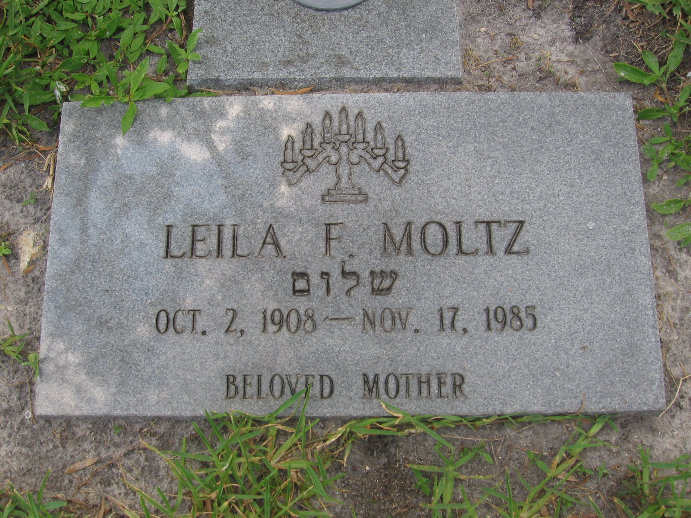 Leila F Moltz