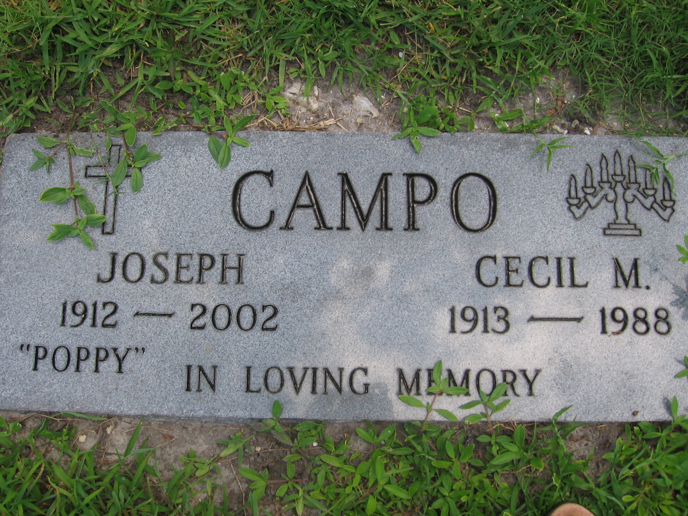 Cecil M Campo