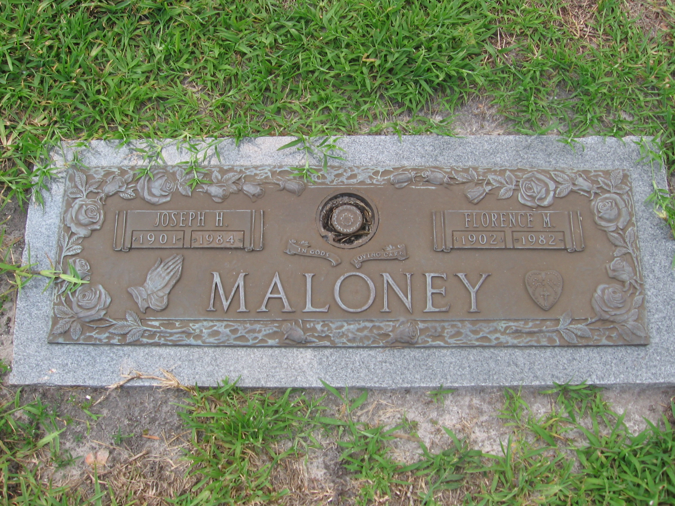 Joseph H Maloney