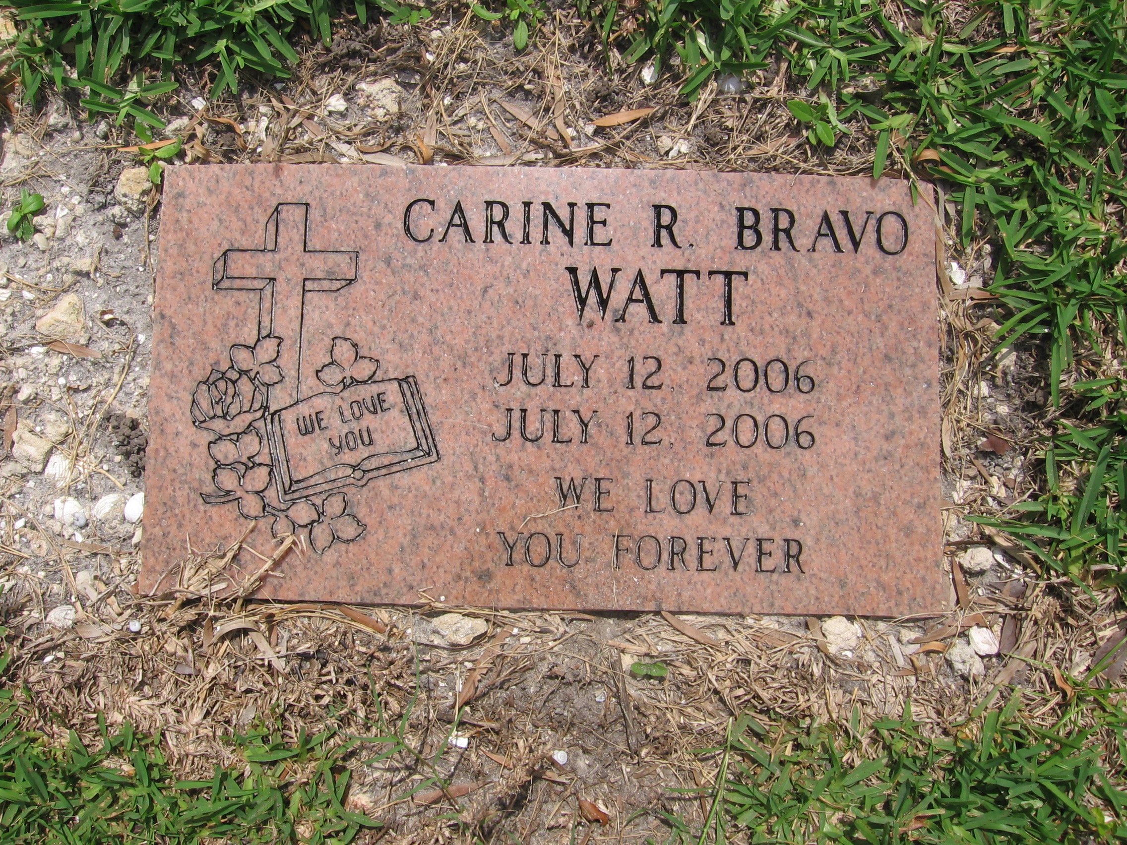 Carine R Bravo Watt