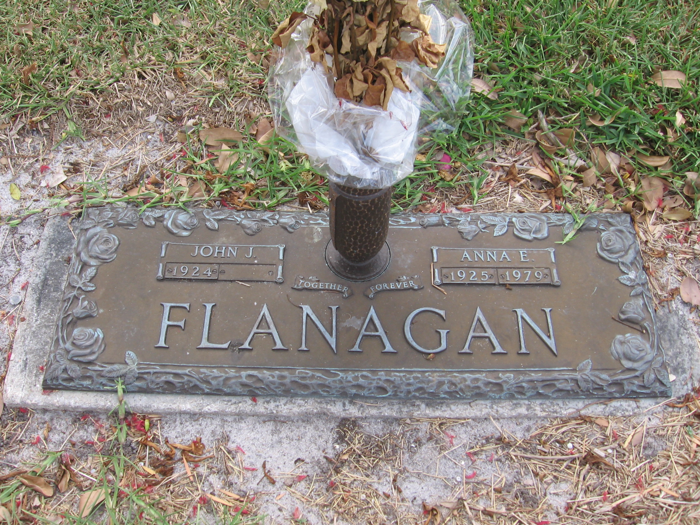 Anne E Flanagan