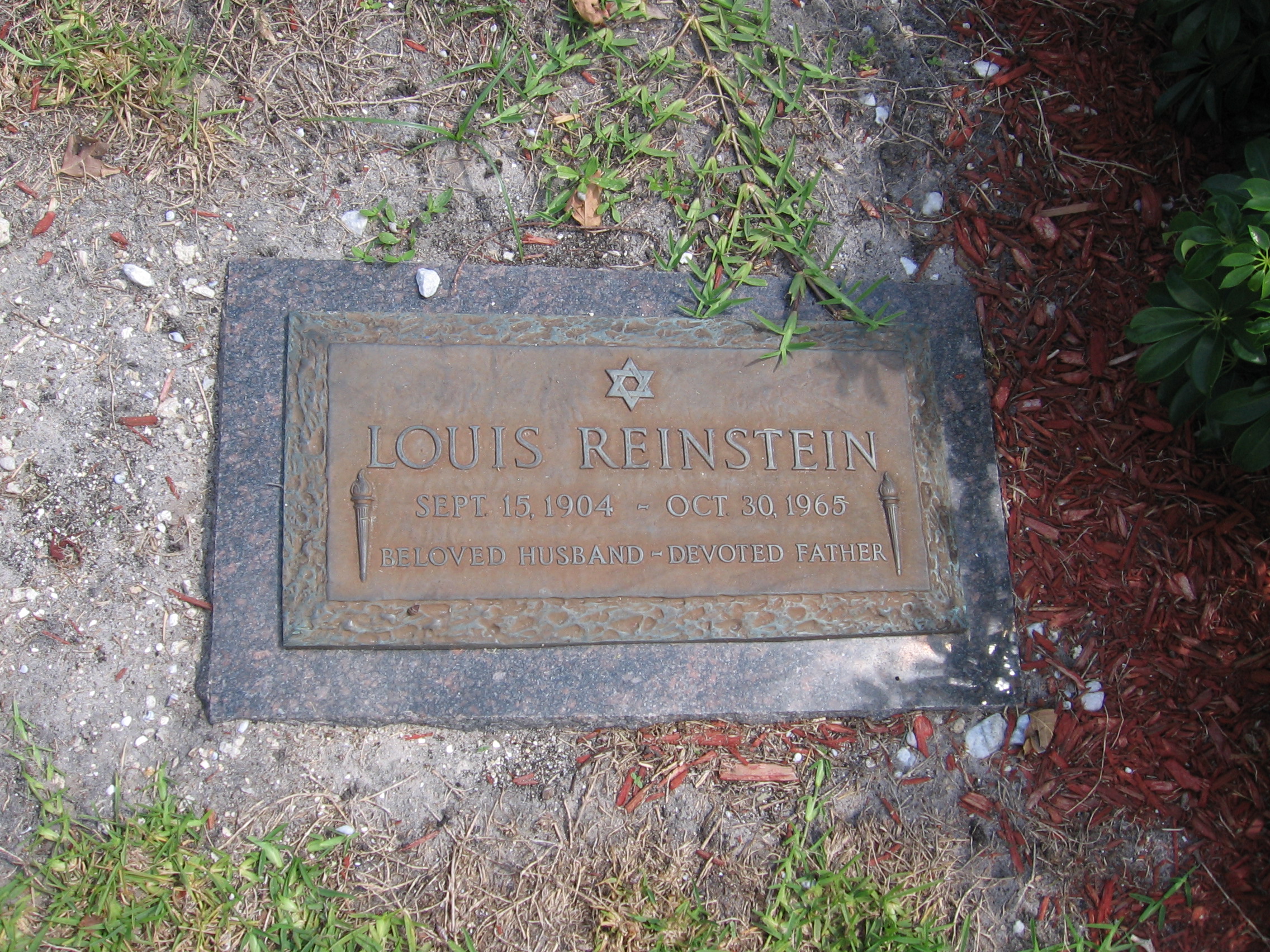 Louis Reinstein