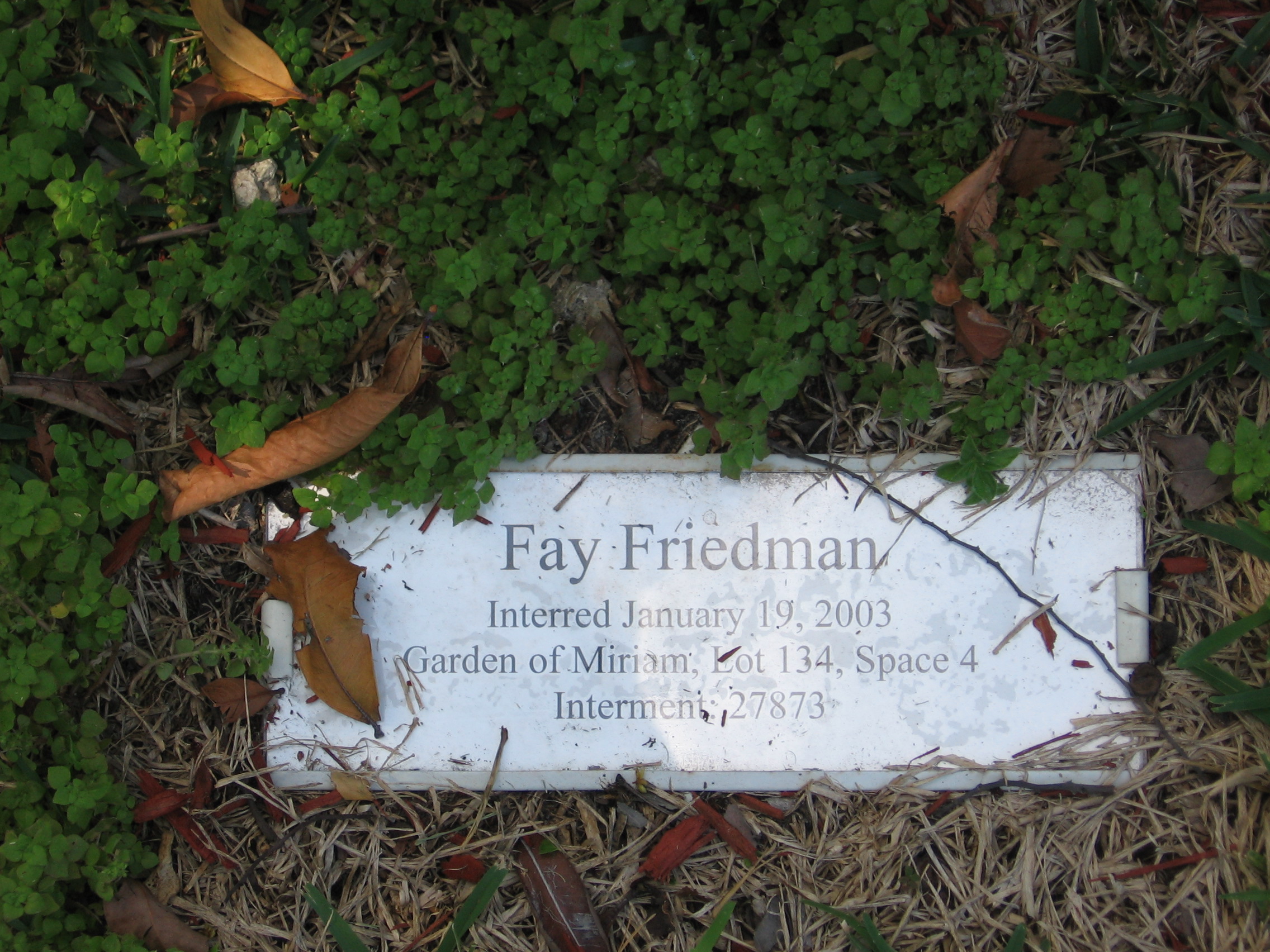 Fay Friedman