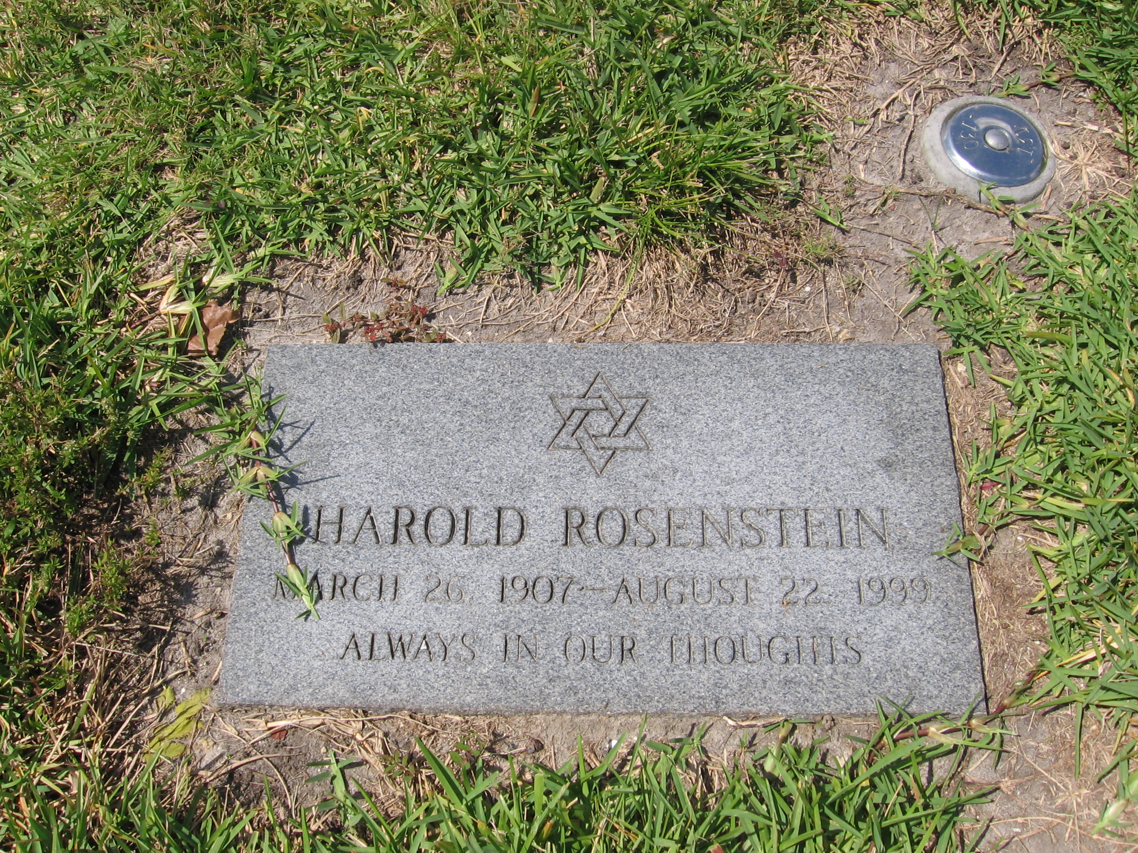 Harold Rosenstein