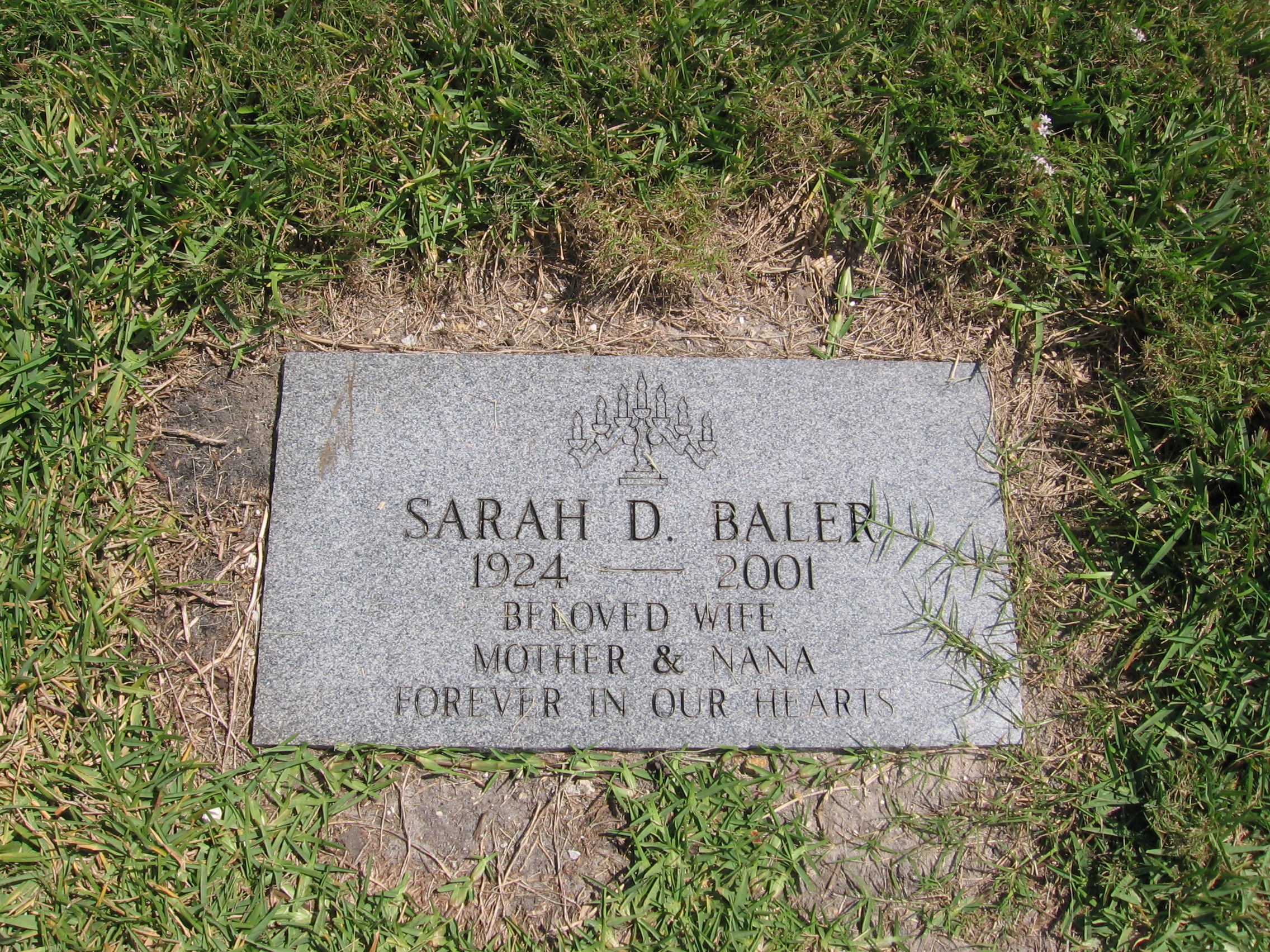 Sarah D Baler