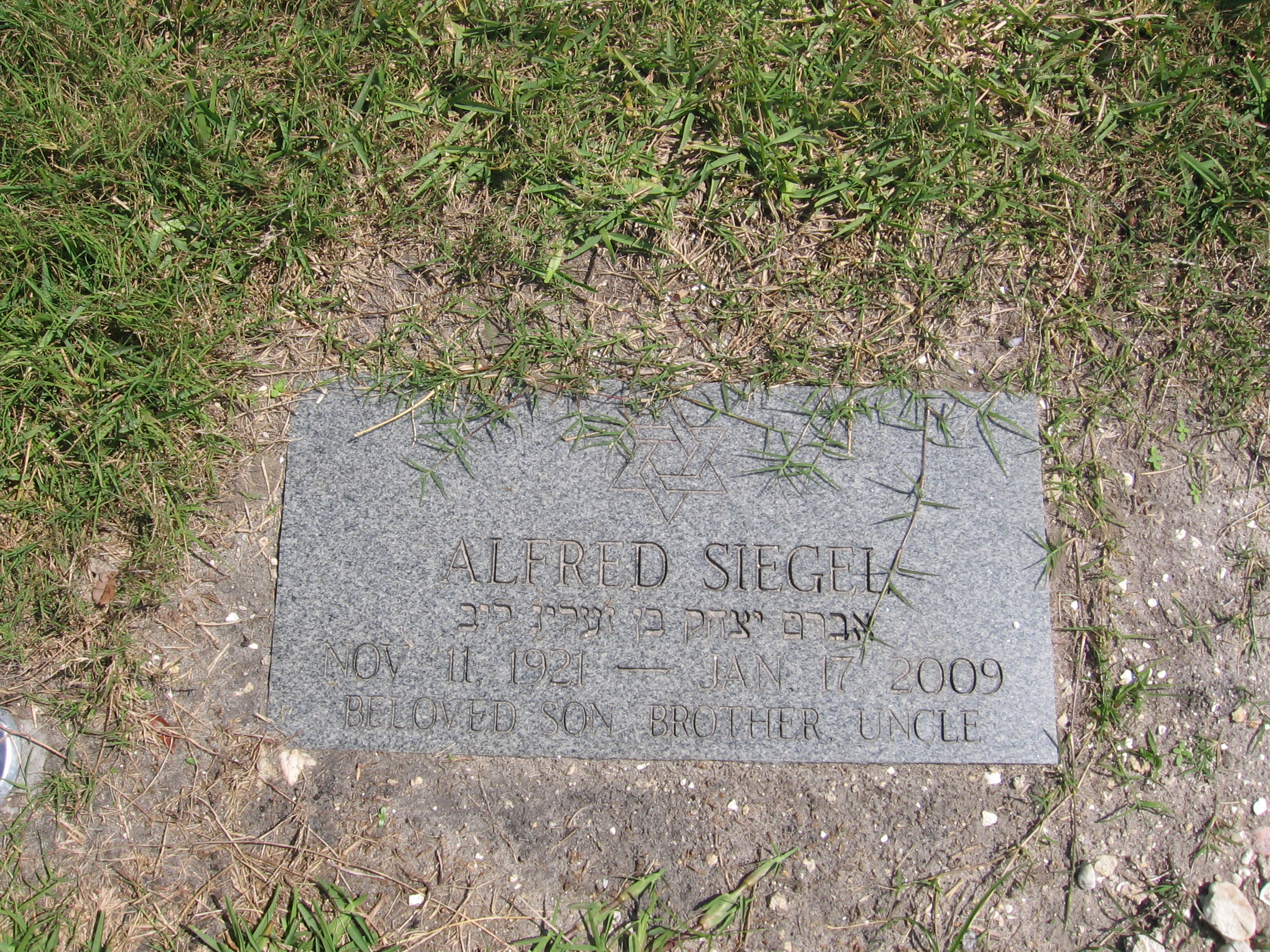 Alfred Siegel