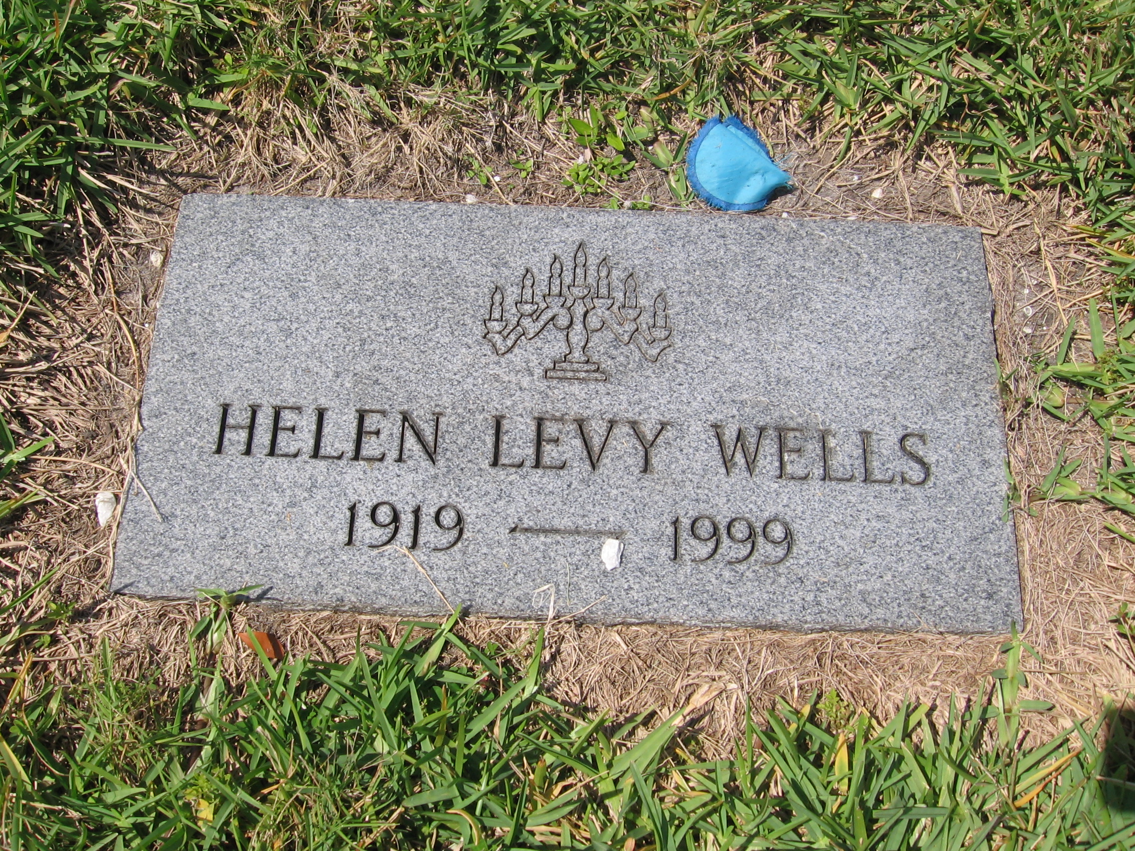 Helen Levy Wells