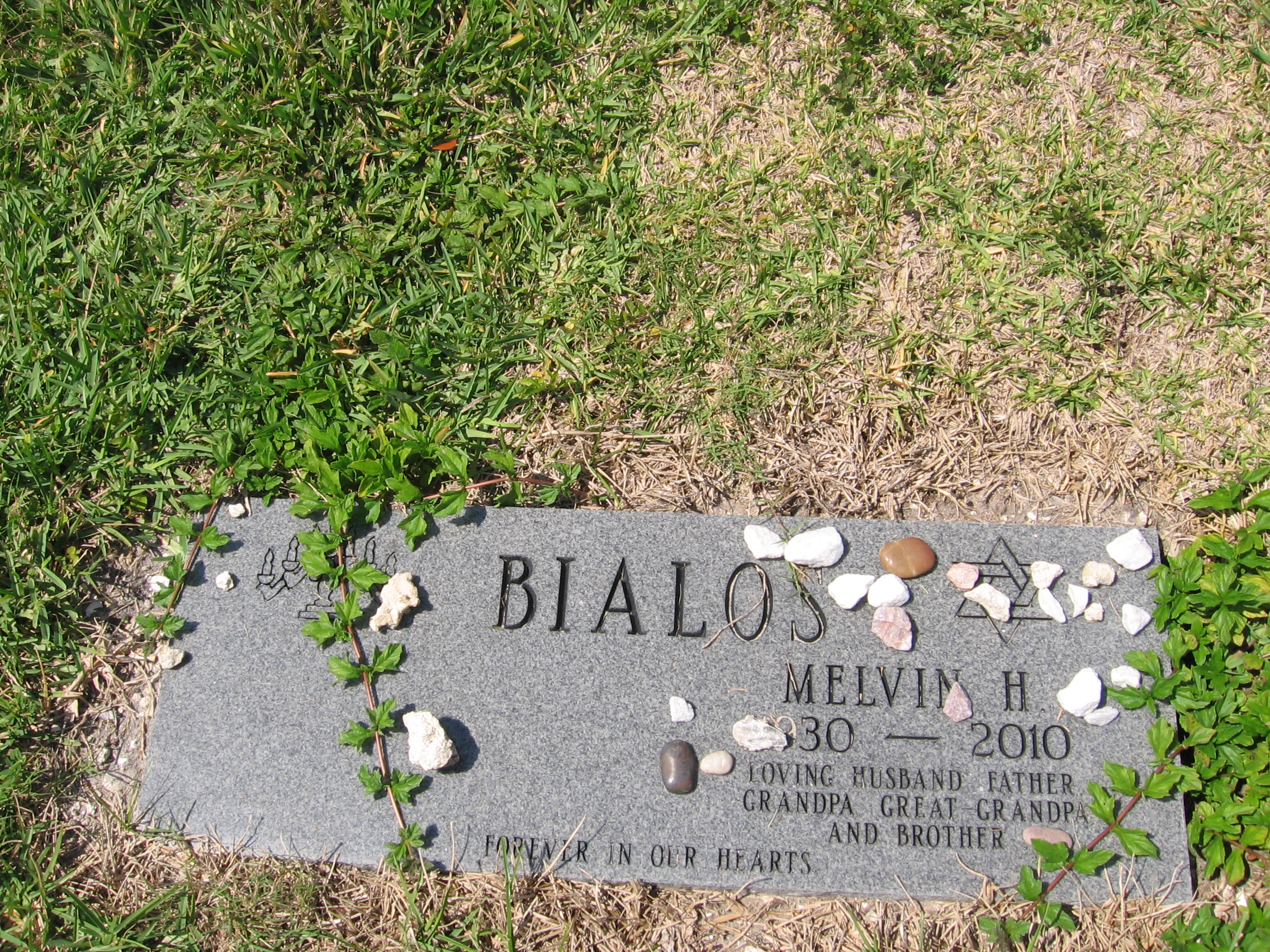 Melvin H Bialos