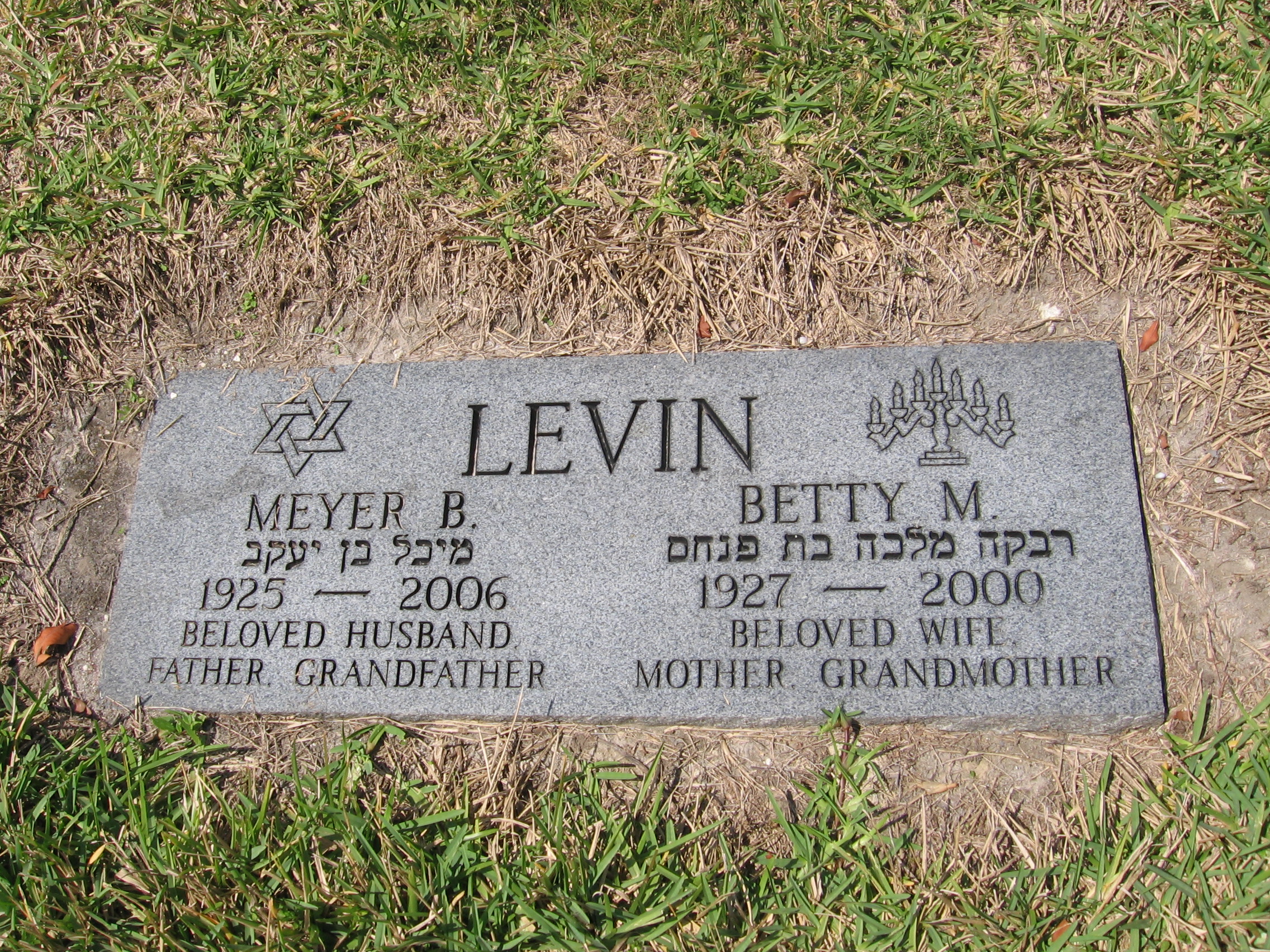Meyer B Levin