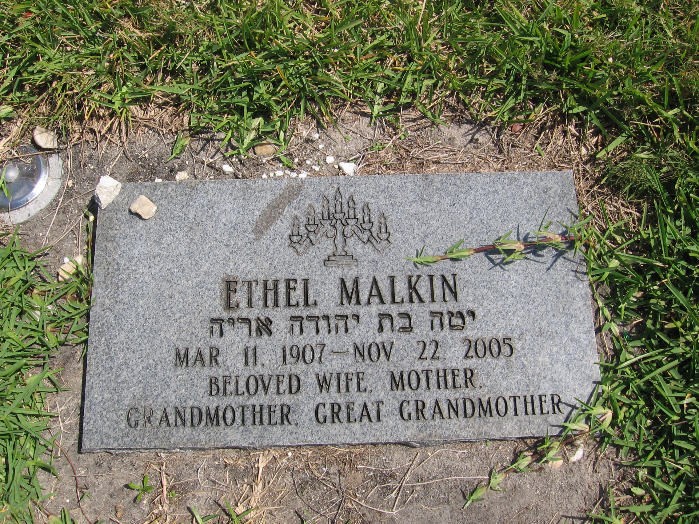 Ethel Malkin