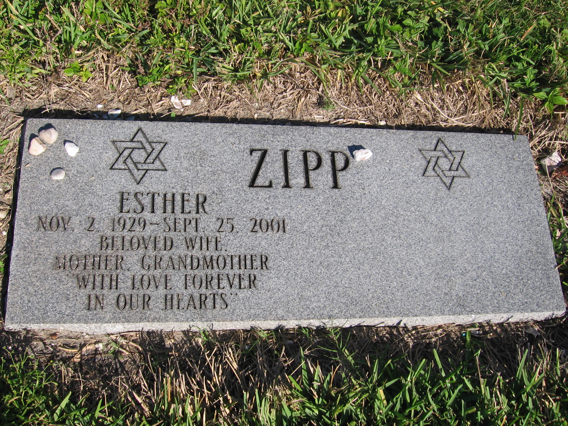 Esther Zipp