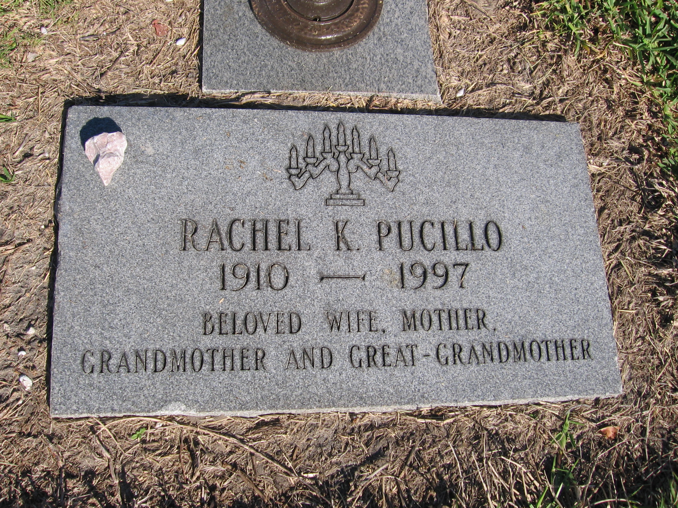 Rachel K Pucillo
