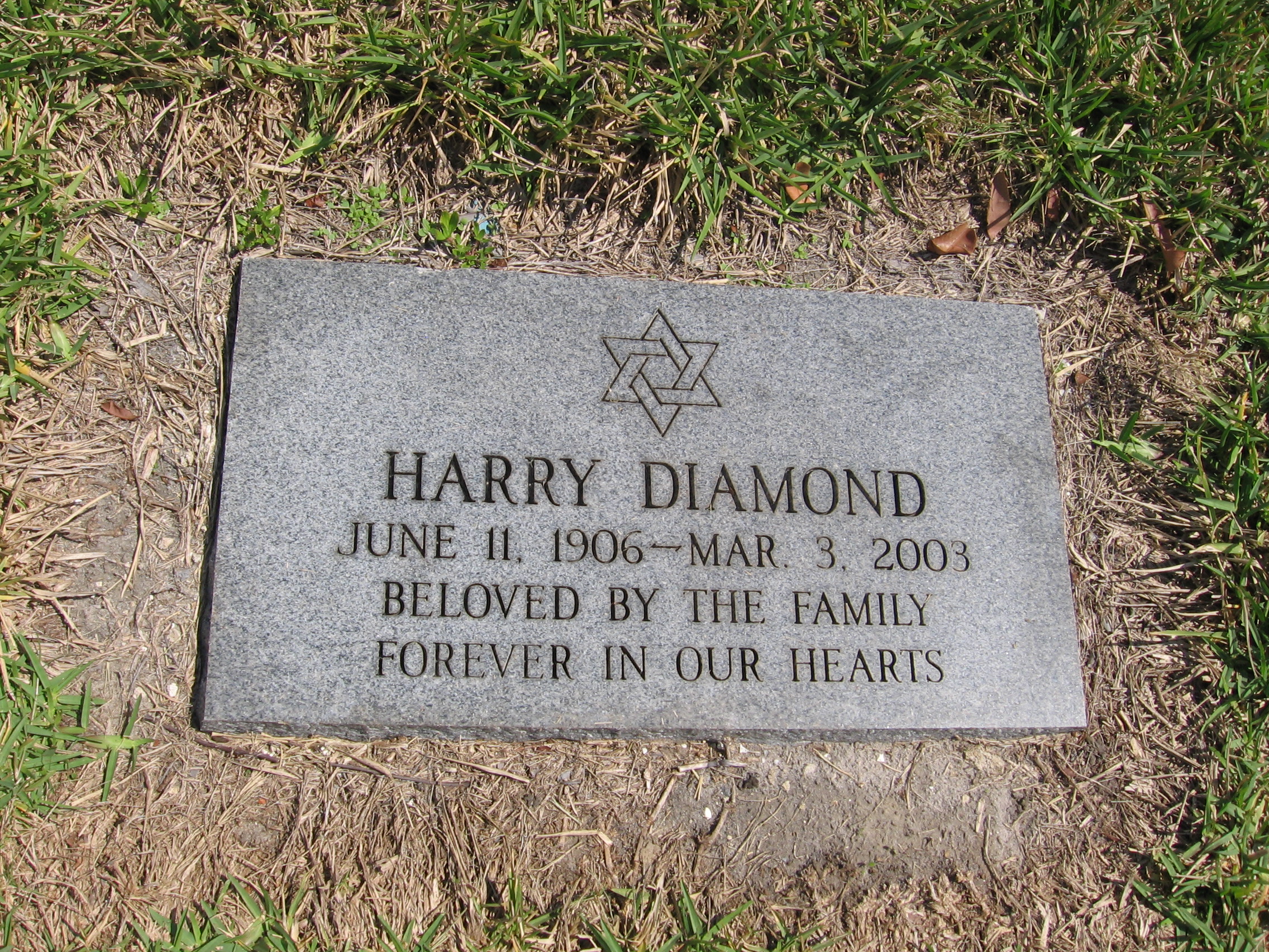 Harry Diamond