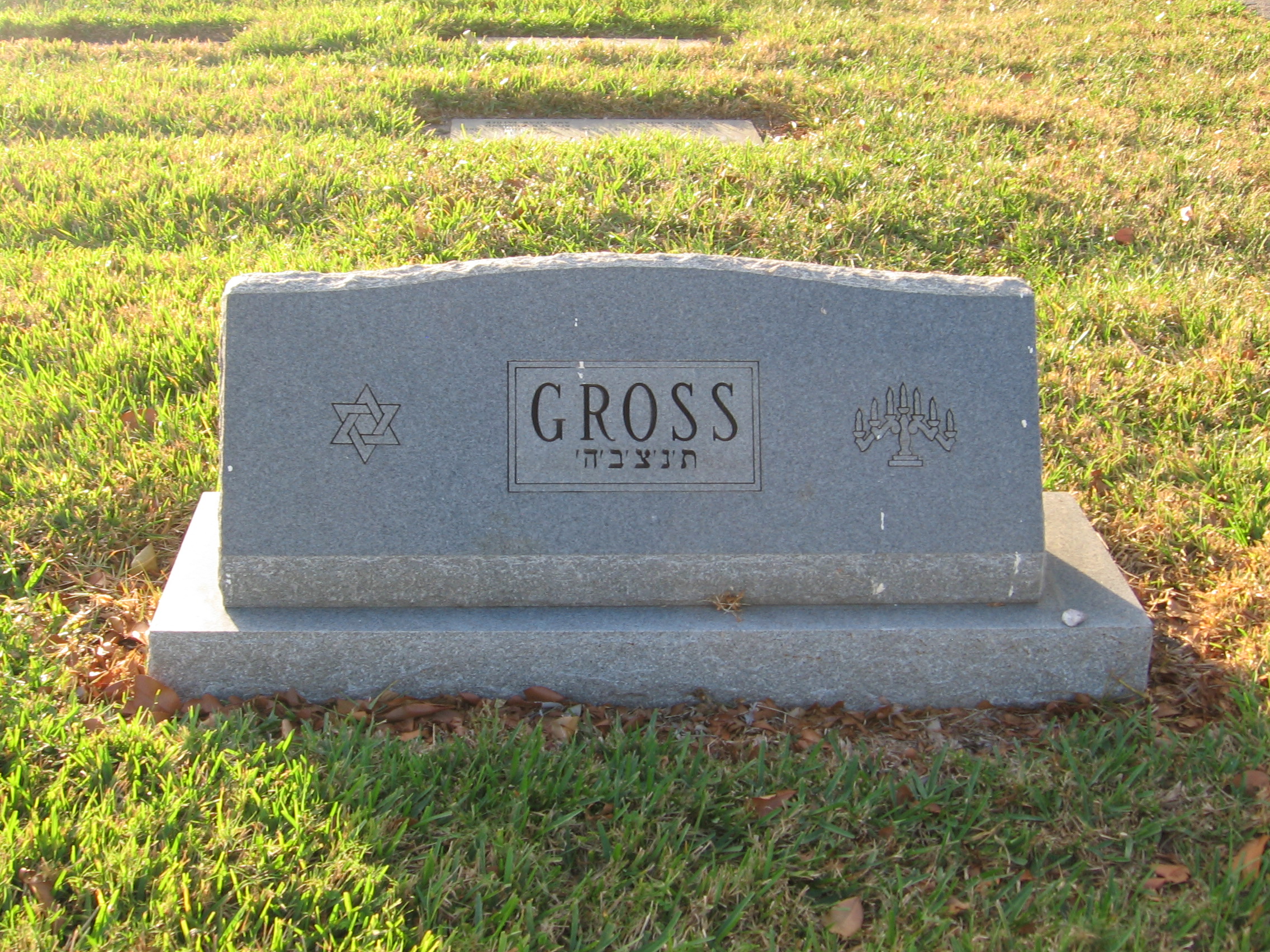 Arthur M Gross